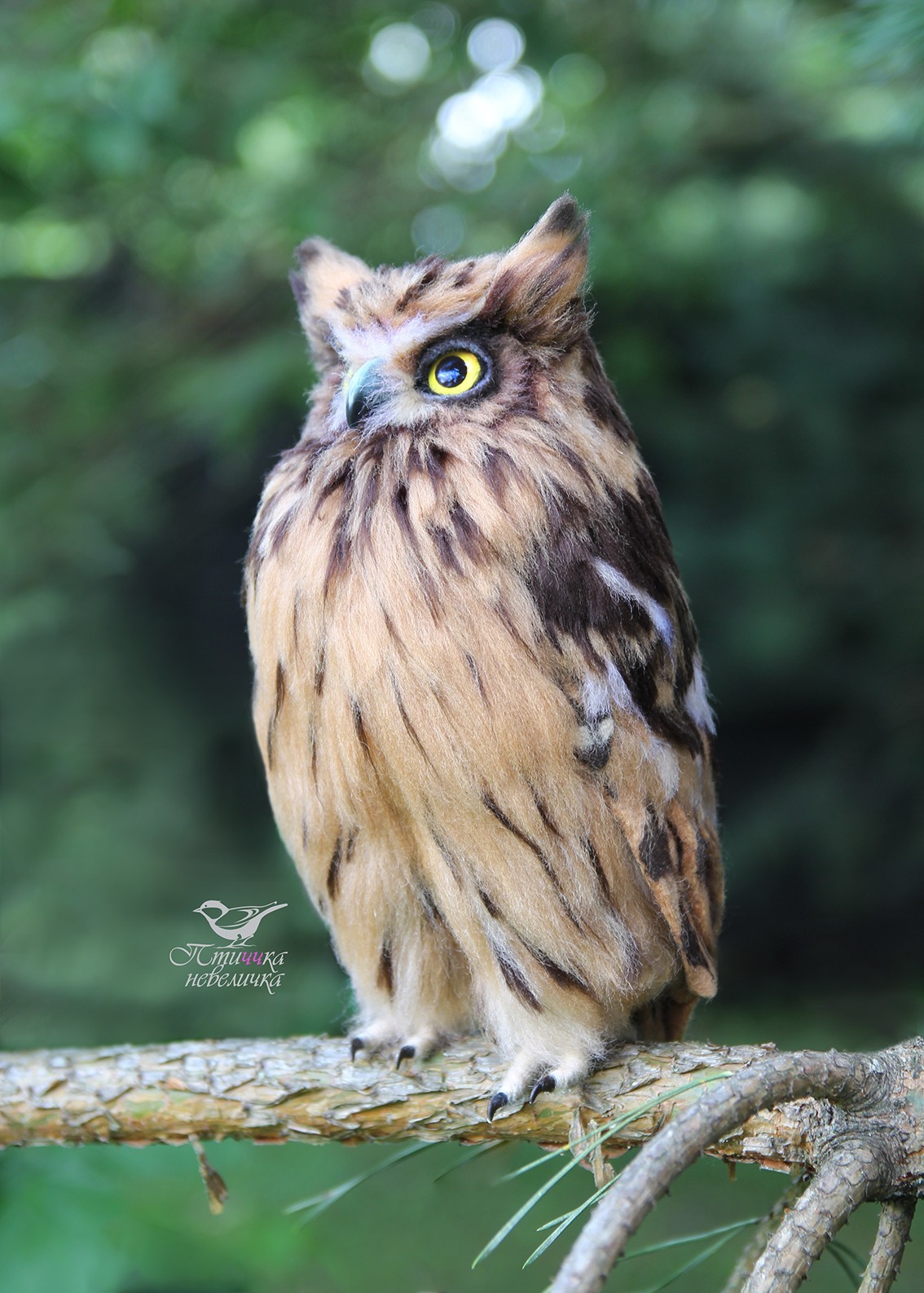 Fish owl. From wool. Wallow. Handmade. - My, Needlework without process, Dry felting, Creation, Needlework, Toys, Handmade, Birds, Longpost