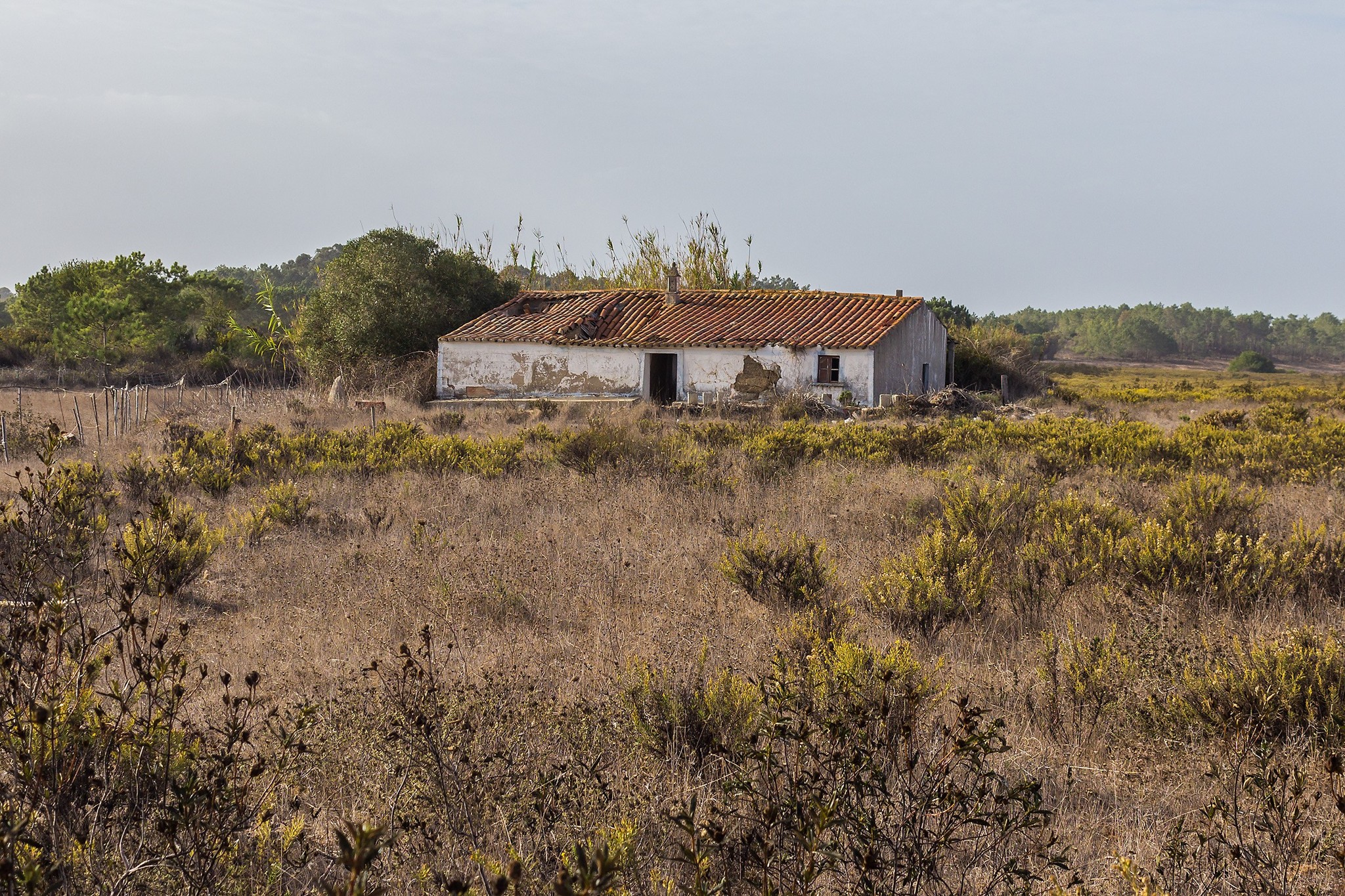 Fourth day on Rota Vicentina: what is there besides the ocean - My, Travels, The photo, On foot, Hiking, Europe, Portugal, Nature, Ocean, Longpost