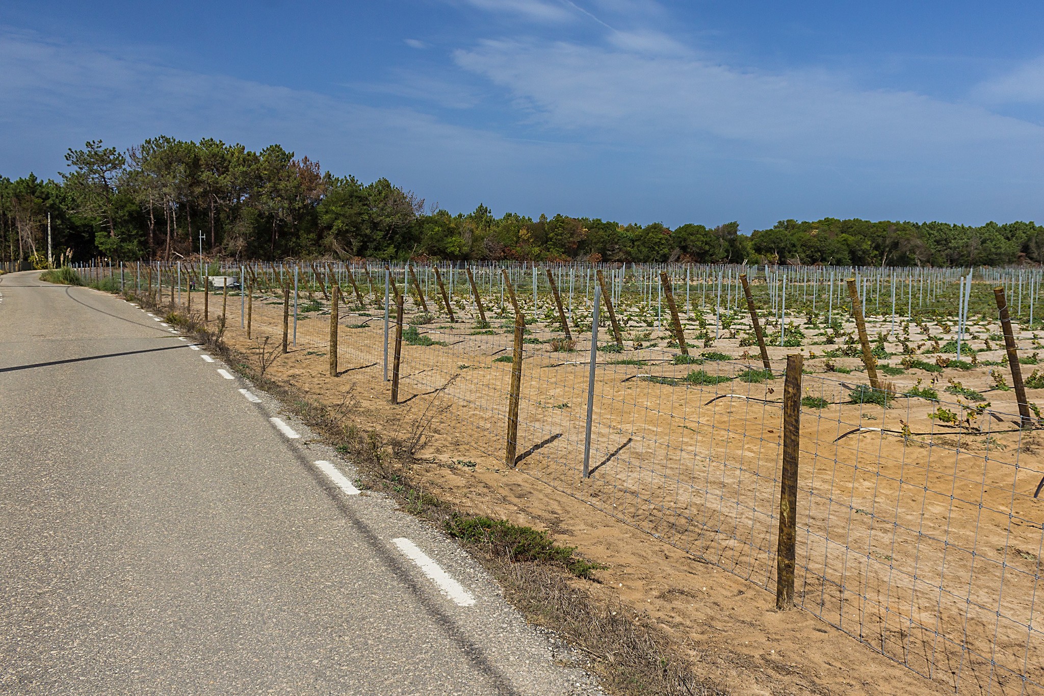 Fourth day on Rota Vicentina: what is there besides the ocean - My, Travels, The photo, On foot, Hiking, Europe, Portugal, Nature, Ocean, Longpost