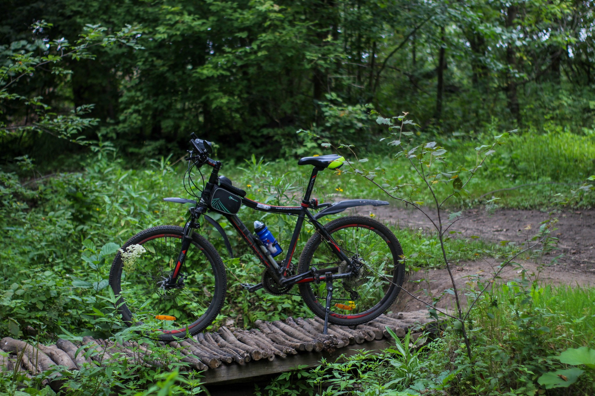 Summer sketches - My, The photo, Nature, A bike, Longpost