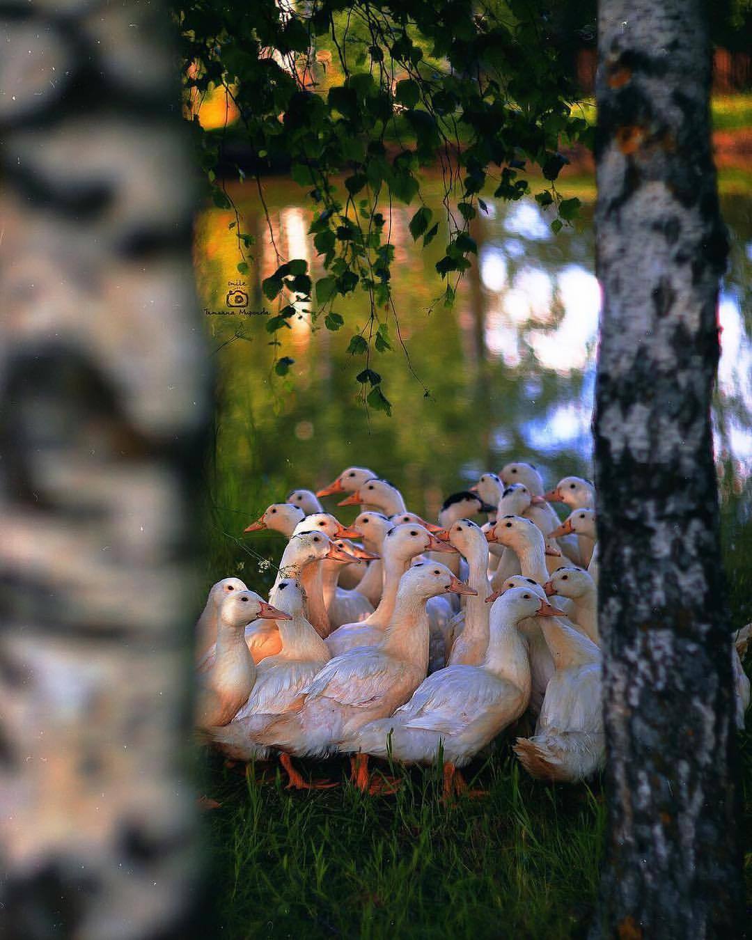 It seems like time has stopped there. - Russia, Village, The nature of Russia, beauty, Mentally, The photo, Nostalgia, Longpost