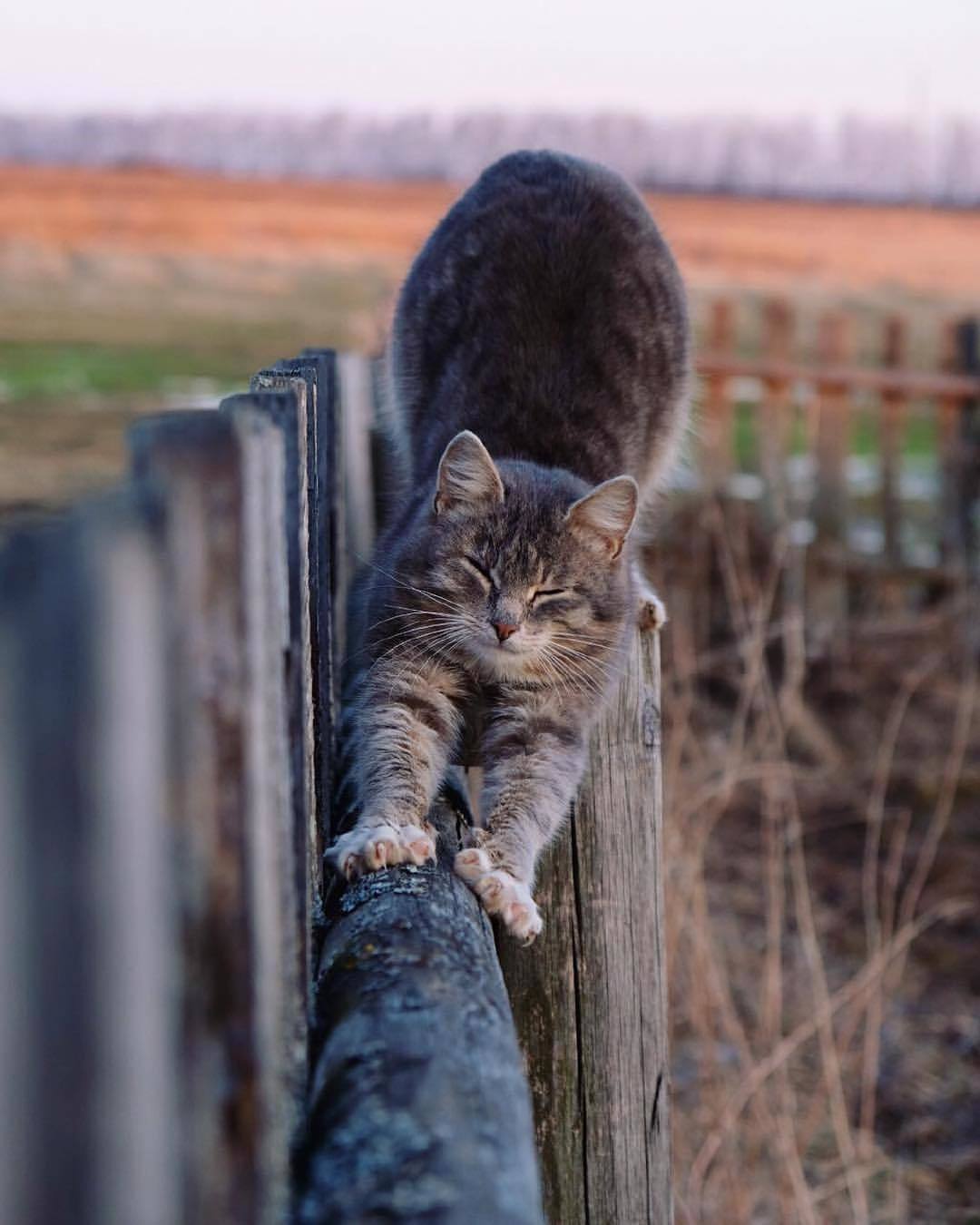 It seems like time has stopped there. - Russia, Village, The nature of Russia, beauty, Mentally, The photo, Nostalgia, Longpost