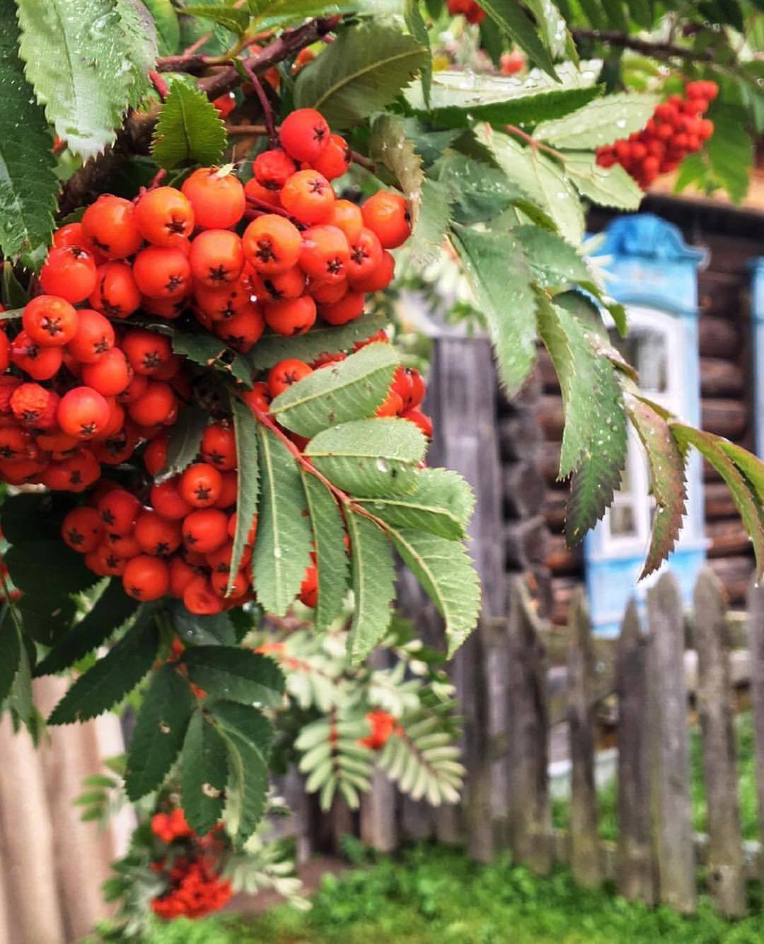 It seems like time has stopped there. - Russia, Village, The nature of Russia, beauty, Mentally, The photo, Nostalgia, Longpost