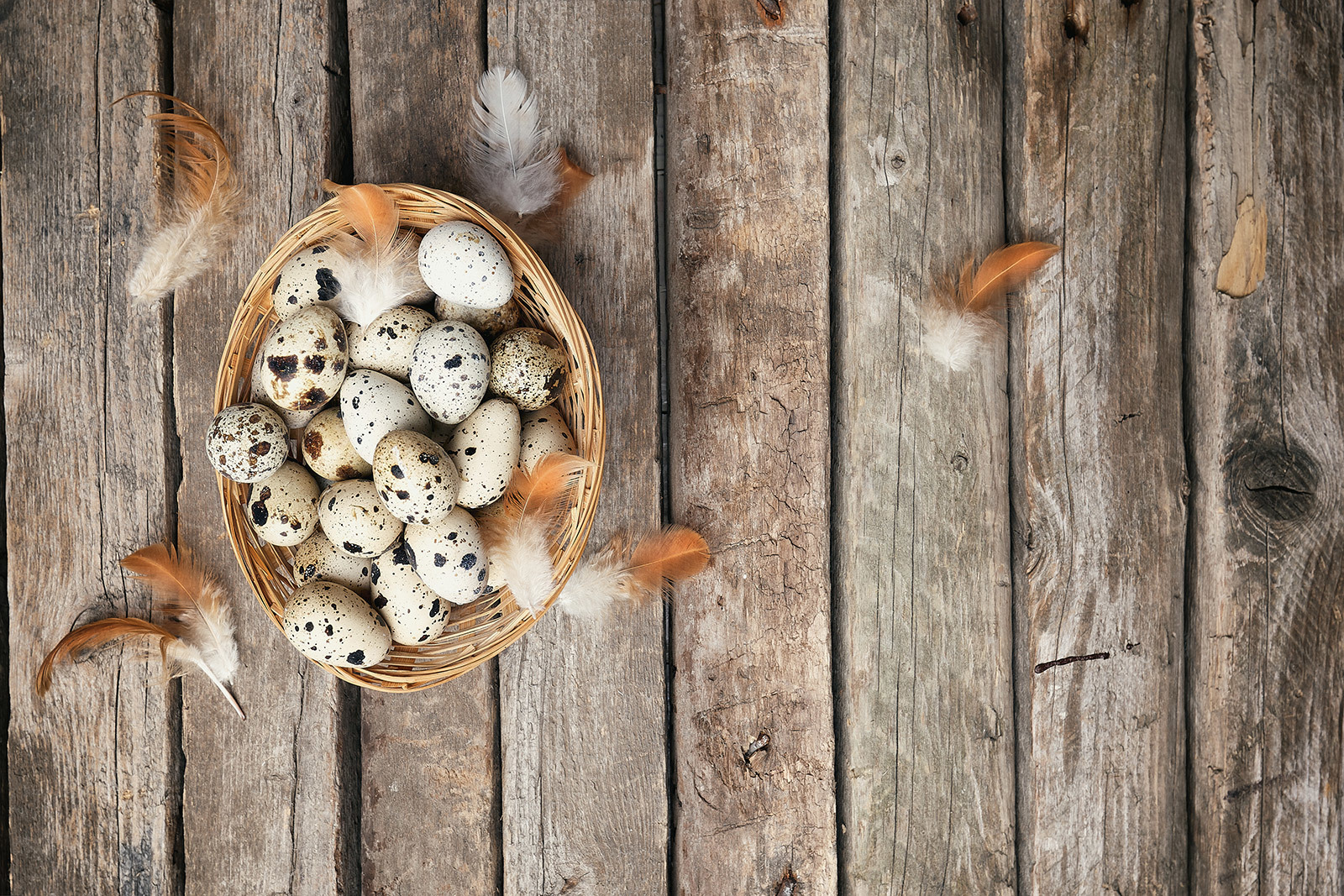 Немного нашей продукции FLEGMATIC•BIRD - Моё, Фотография, Фермерские продукты, Фермерство, Фермер, Яйца, Мясо, Длиннопост, Натуральные продукты