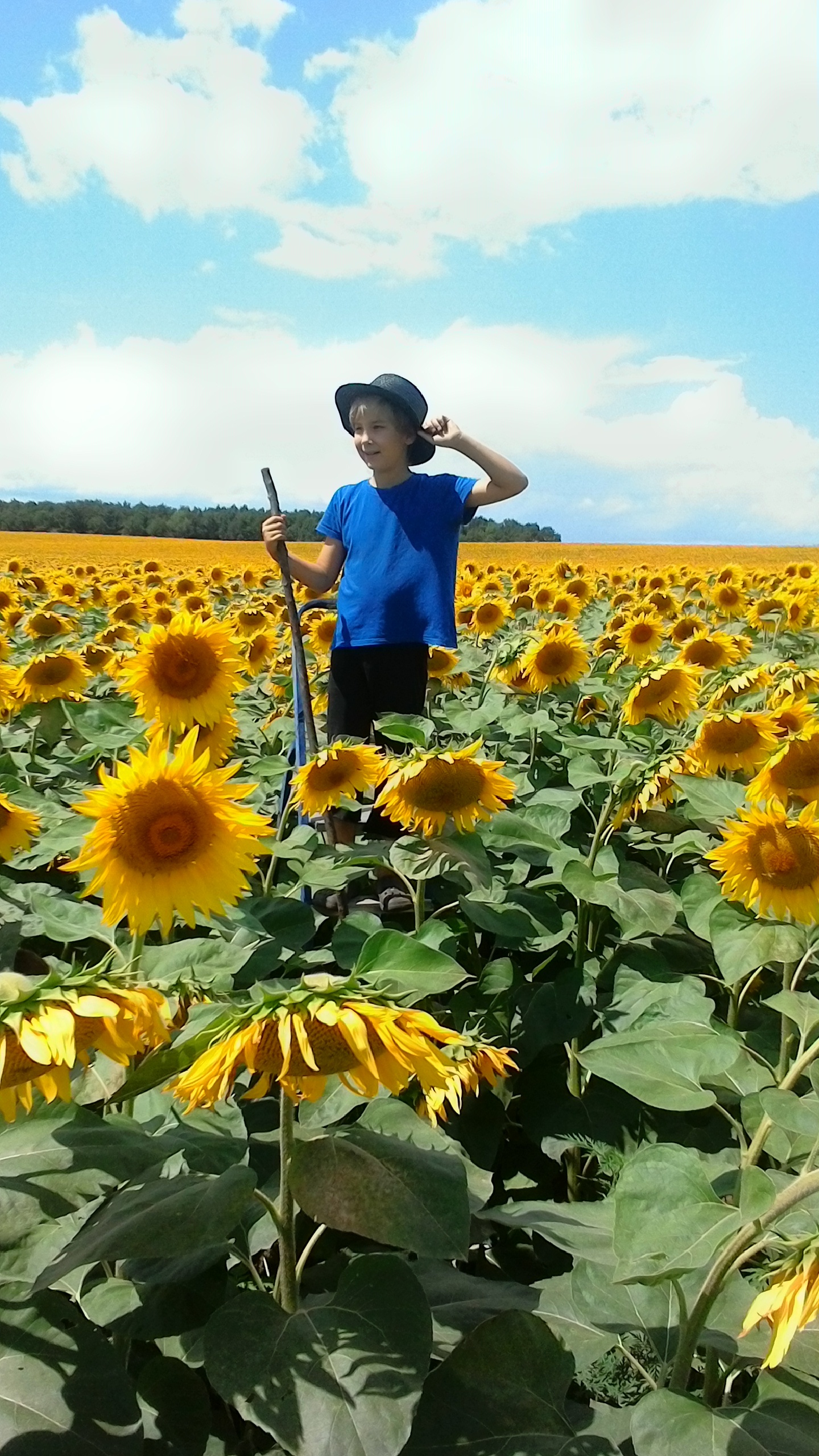 И лето клонится к закату | Пикабу