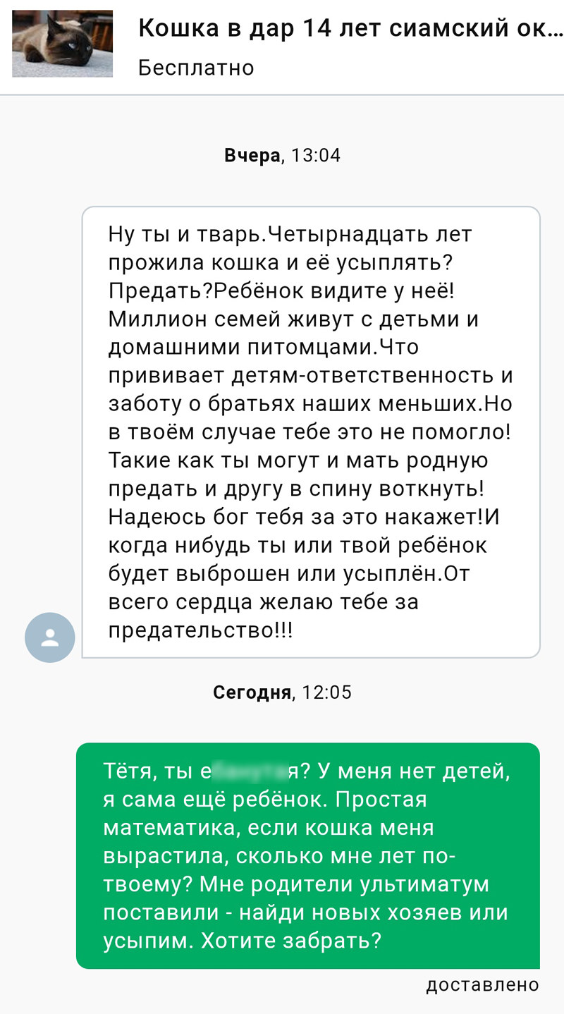 Эти странные люди и что у них творится в голове. - Моё, Объявление, Текст, Хамство, Скриншот, Неадекват, Переписка, Длиннопост