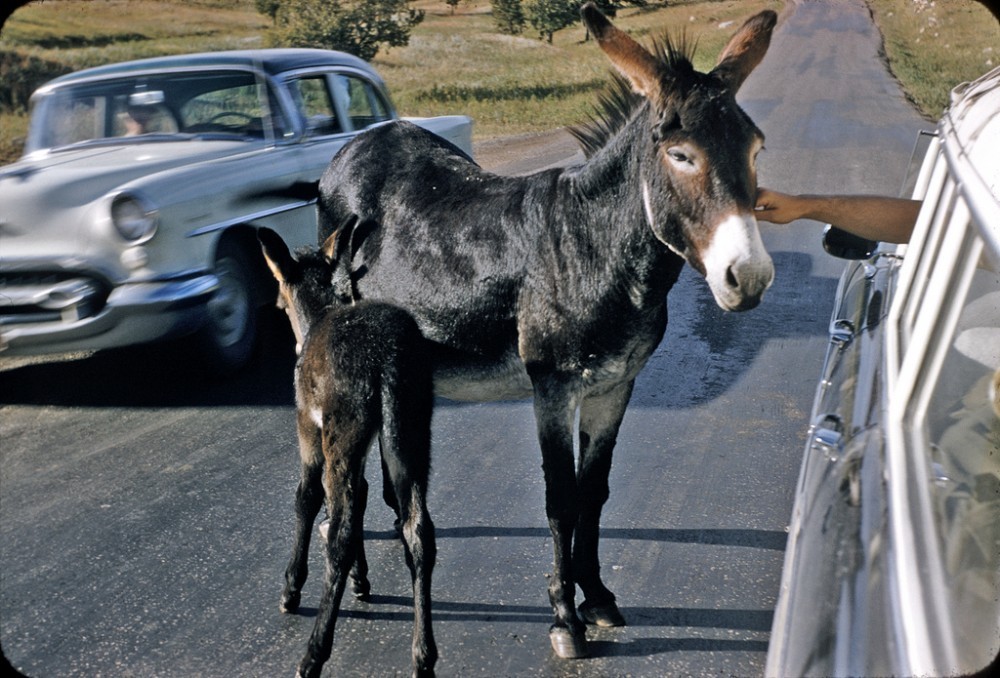 America in the 1950s in color photographs - USA, 50th, Longpost, The photo, America, Retro