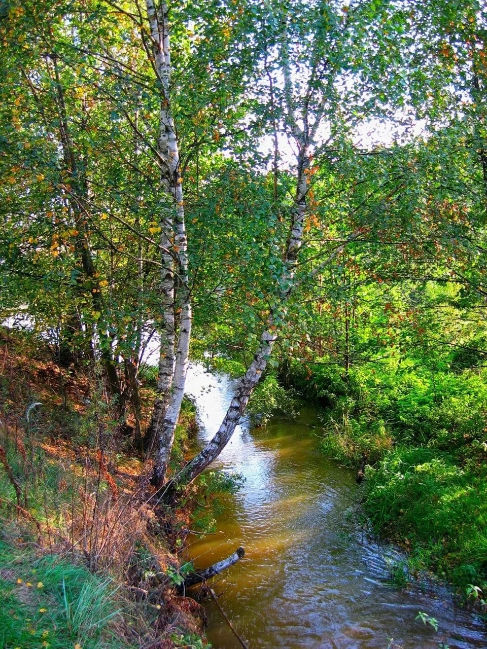 Holidays in the village - Holidays, Village, Nature, River, Moto, Planet, Minsk, Boondocks, Longpost