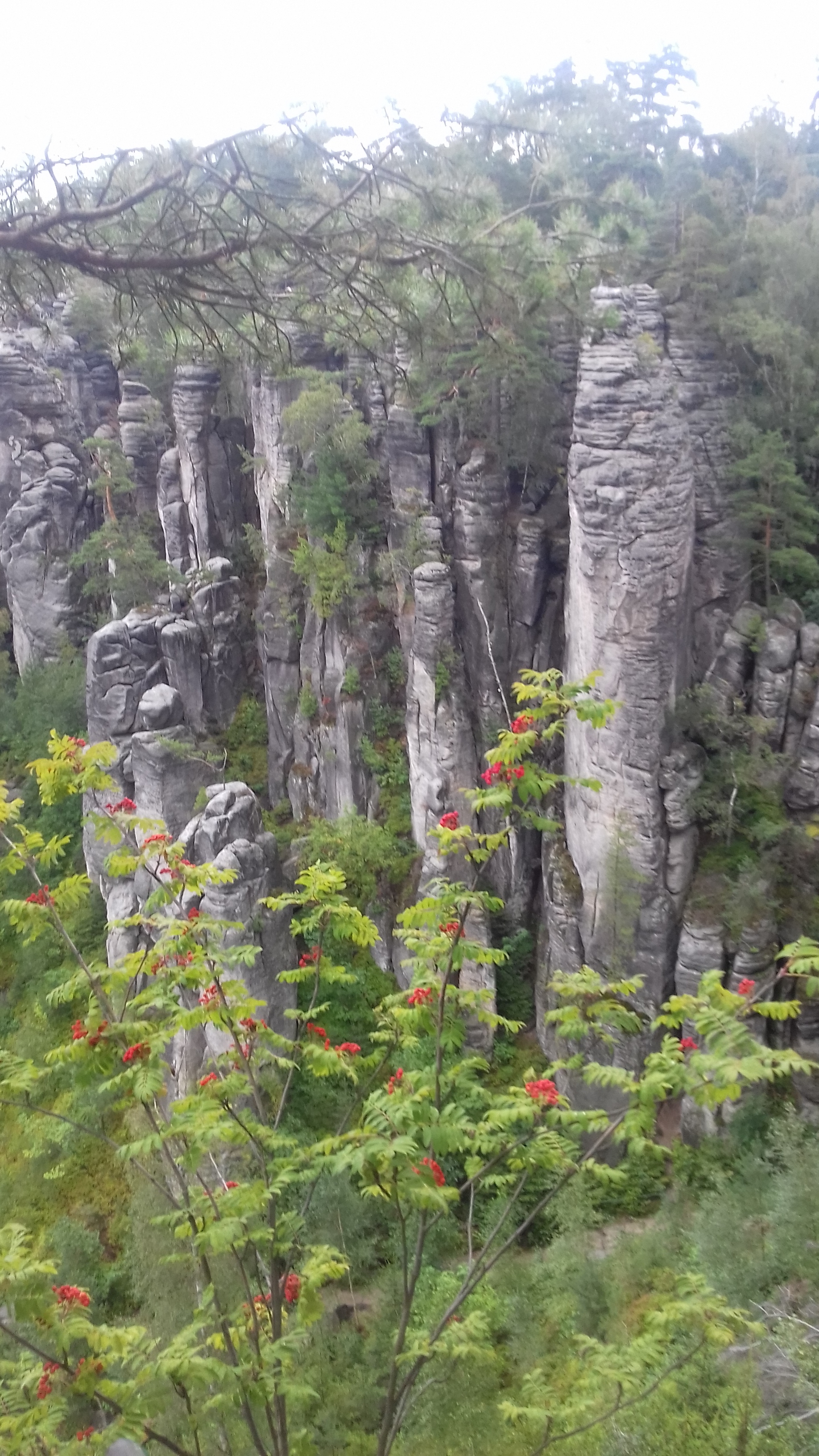 Prahovy rocks - My, Czech, Tourism, The rocks, Reserve, Longpost, Reserves and sanctuaries