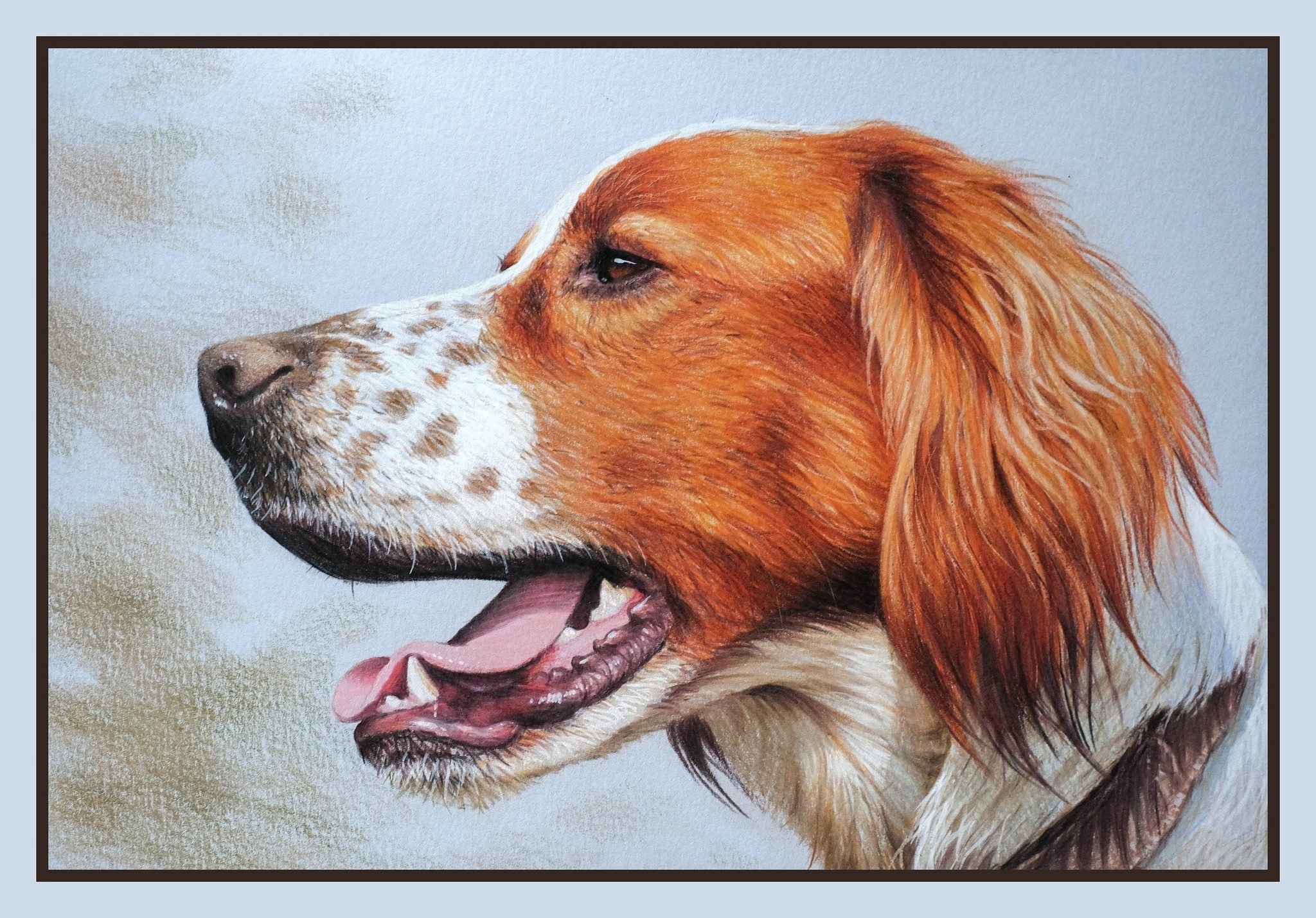 Drawing with colored pencils - My, Dog, Portrait, Drawing, Kalyaki-Malyaki, Pencil drawing