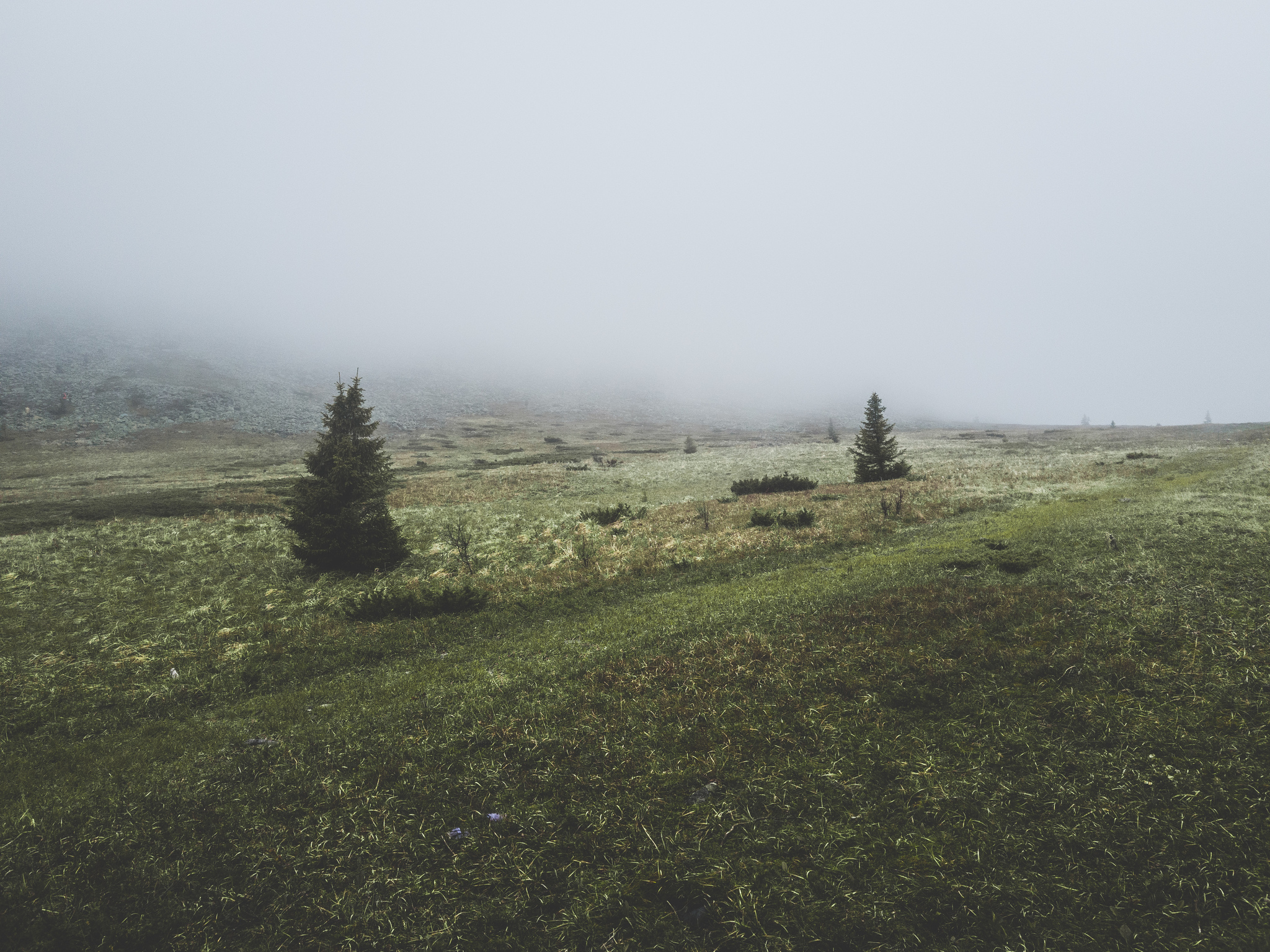 Surroundings of Iremel - My, Nature, Ural, Landscape, Longpost, The photo