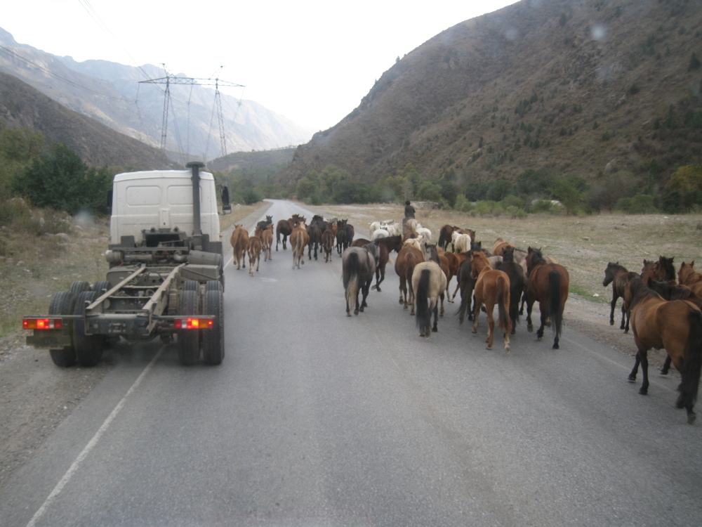 Hellish stage or 9000 km. along the roads of Asia. Part 2 - My, Kazakhstan, Uzbekistan, Kyrgyzstan, Longpost