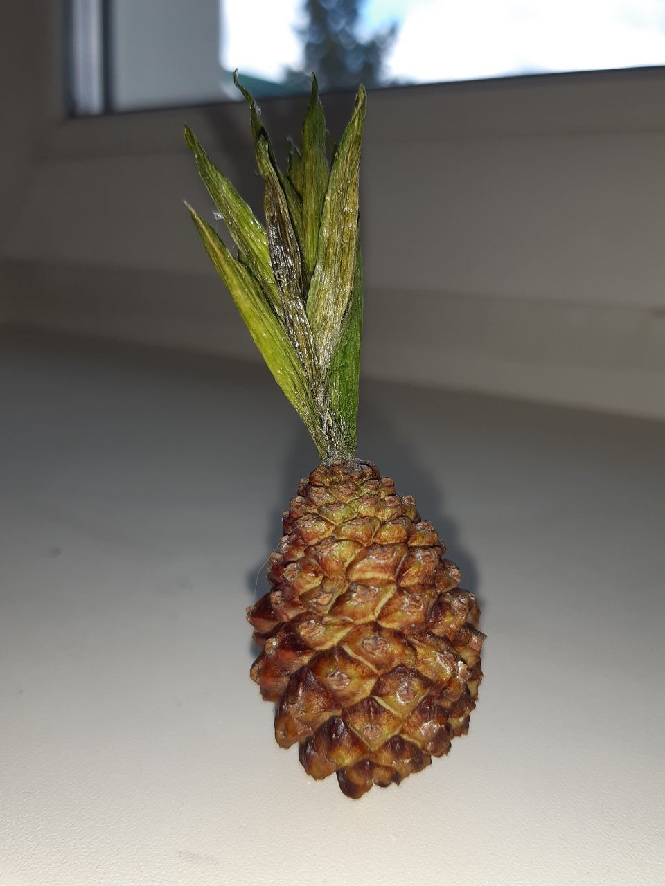 This is how we grew pineapple - My, With your own hands, A pineapple, Imagination, Crafts, Needlework, Longpost