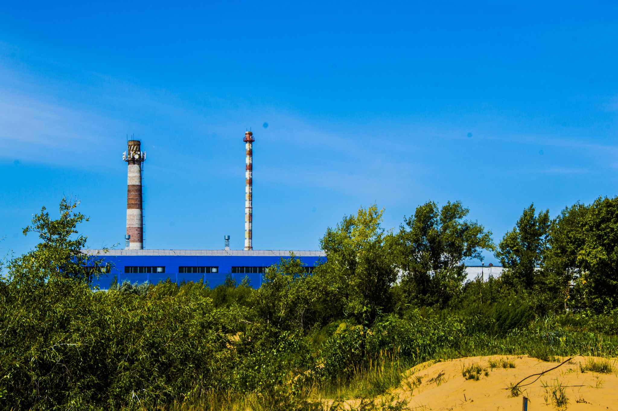 Random pictures of one day - My, The photo, Creation, Summer, Nature, River, Volga river, Beach, Forest, Longpost