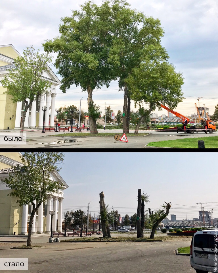 Strong business executives destroyed trees on the embankment of Chelyabinsk - My, Chelyabinsk, Chelyabinsk urbanist, Tree, Landscaping, Pruning, Officials, Longpost