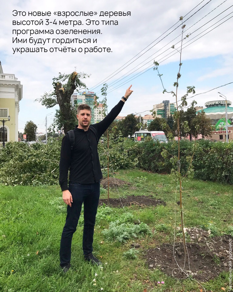 Strong business executives destroyed trees on the embankment of Chelyabinsk - My, Chelyabinsk, Chelyabinsk urbanist, Tree, Landscaping, Pruning, Officials, Longpost