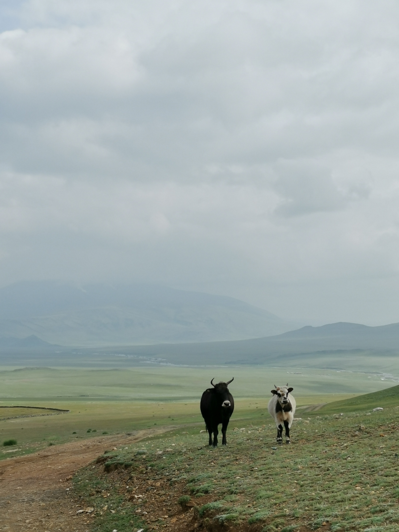 Diversity of Mongolia - My, Mongolia, Altai, Nature, Landscape, The mountains, Desert, Travels, Photographer, Longpost, Altai Republic