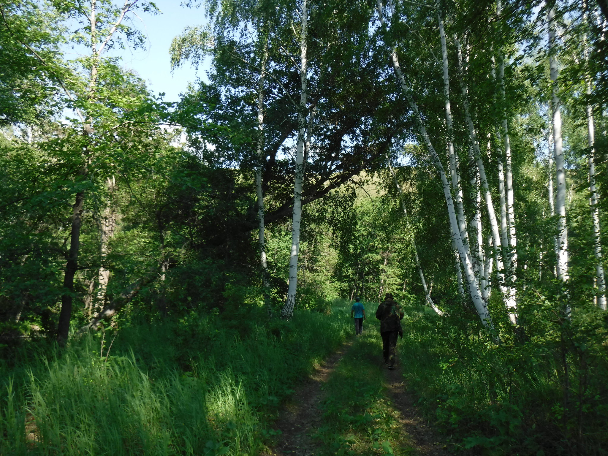 Отчёт по походу в заказник 