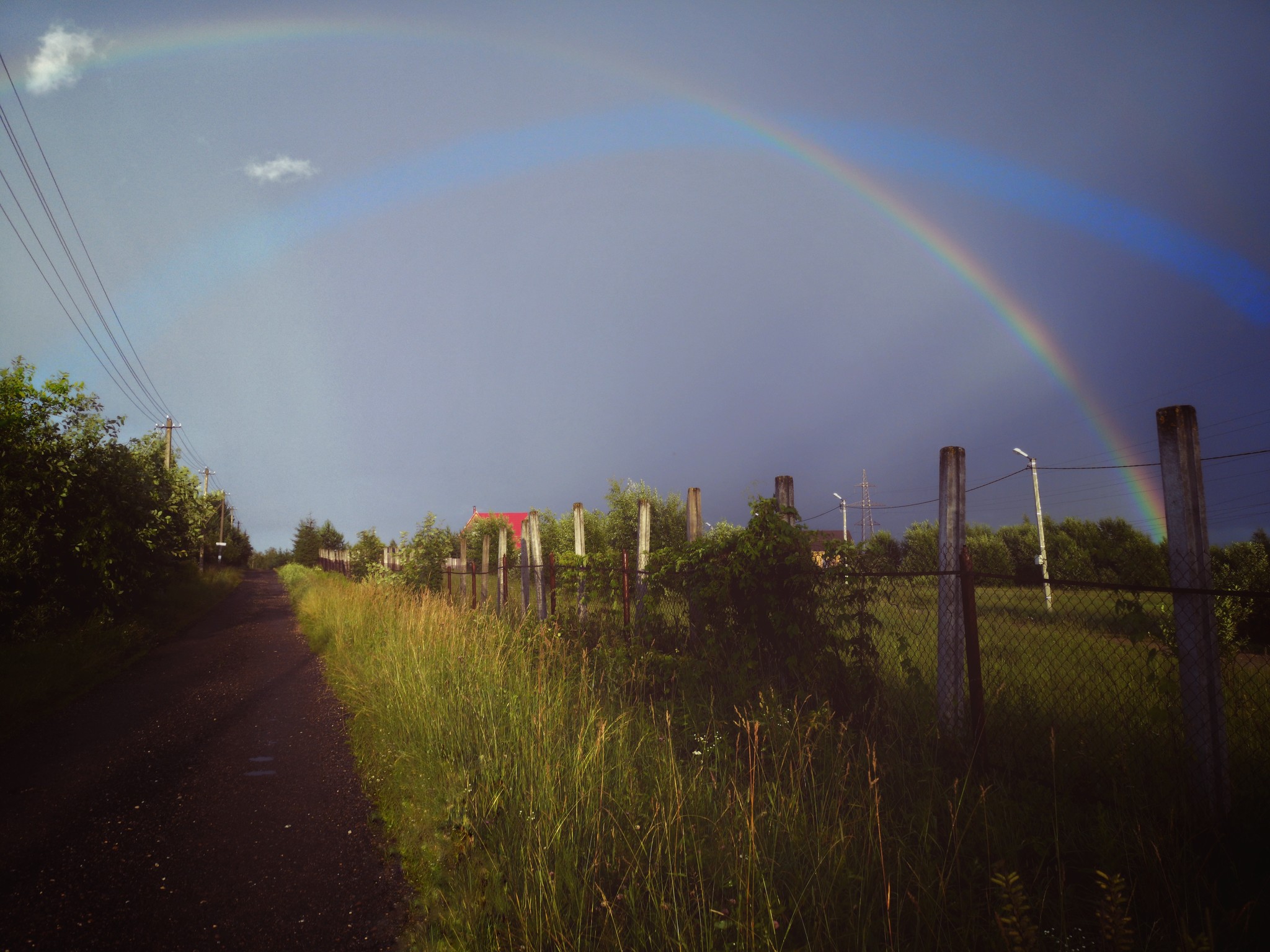 Nature frames part 2 - My, Nature, Forest, Dog, Birds, Insects, Landscape, Longpost