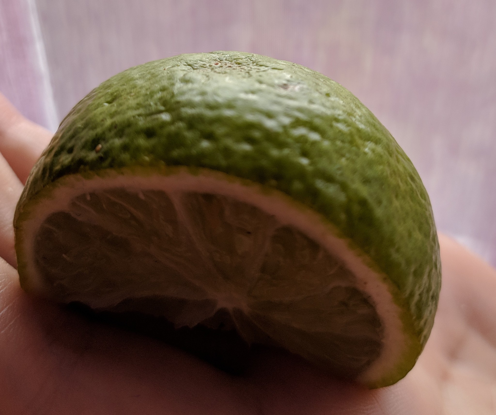 From lime to lemon - My, Tea, Lime, Lemon, Boiling water, Tea drinking, Reaction