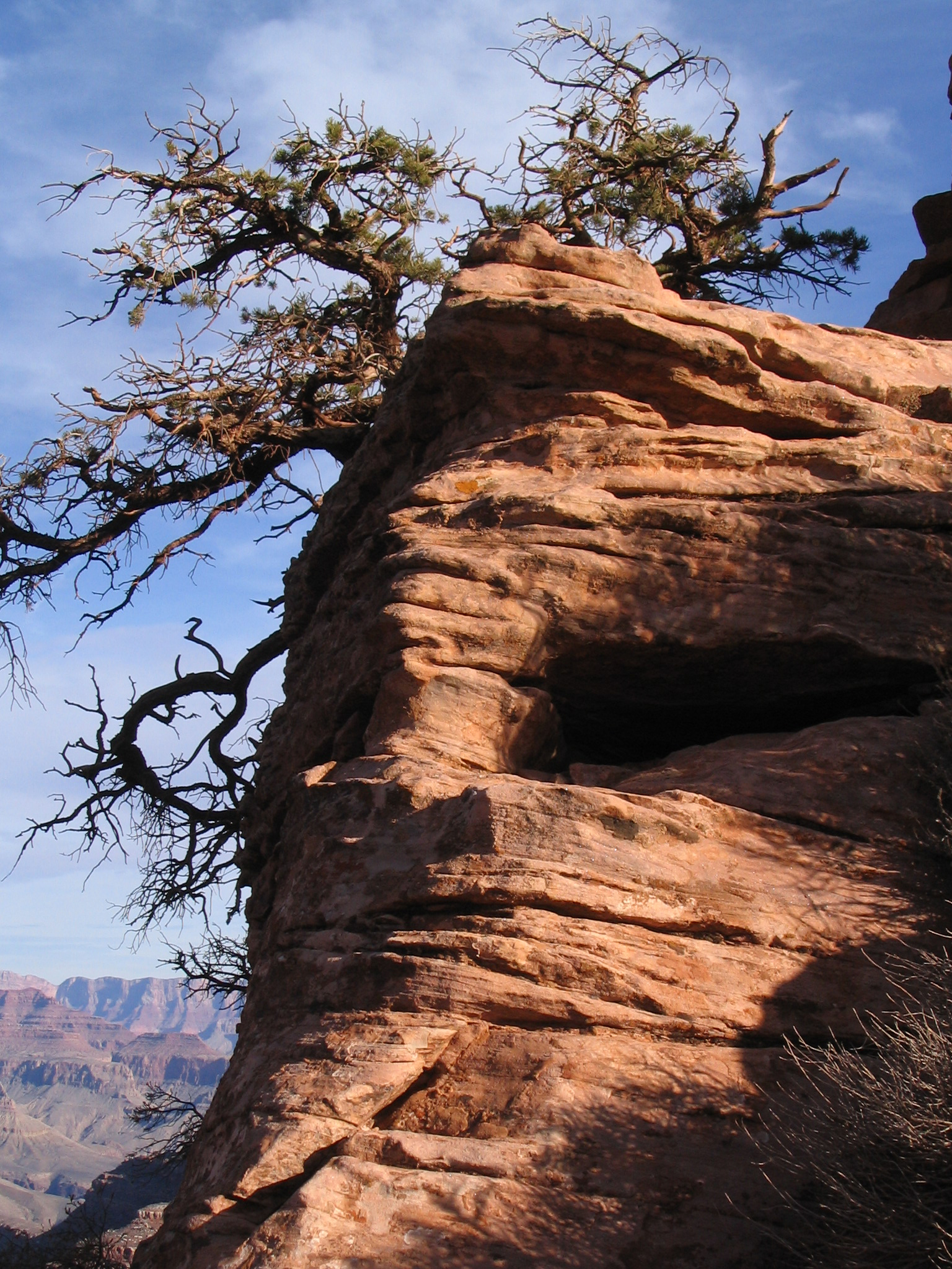 Forward and upward! From the Grand Canyon series - Travels, Grand Canyon, USA, Longpost