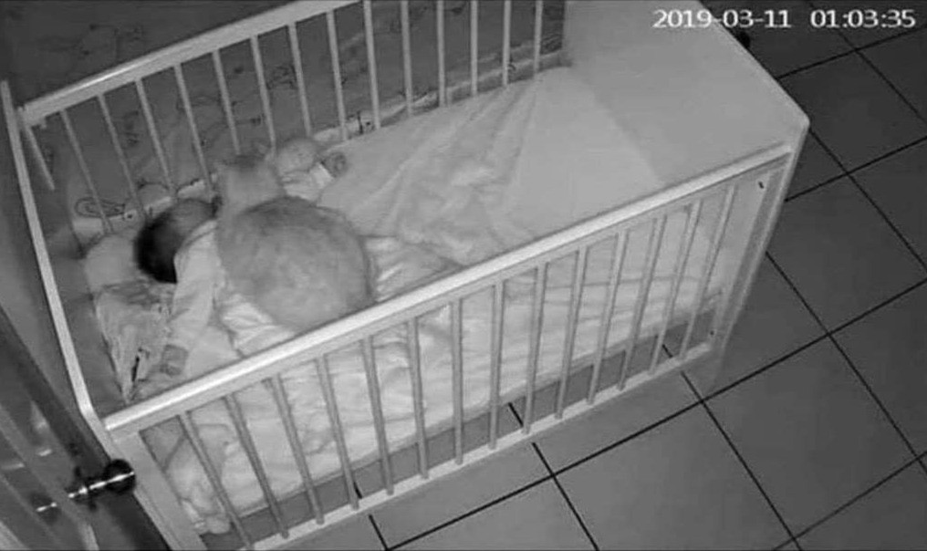 Parents didn't know why their baby was crying all night, so they checked the camera - cat, Night, Dream, Children