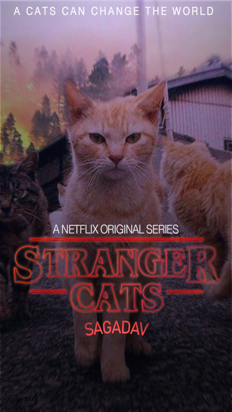 Stranger Cats. Финальная версия. + обои. - Моё, Очень странные дела, Кот, Netflix, Обработка, Длиннопост, Сериал Очень странные дела