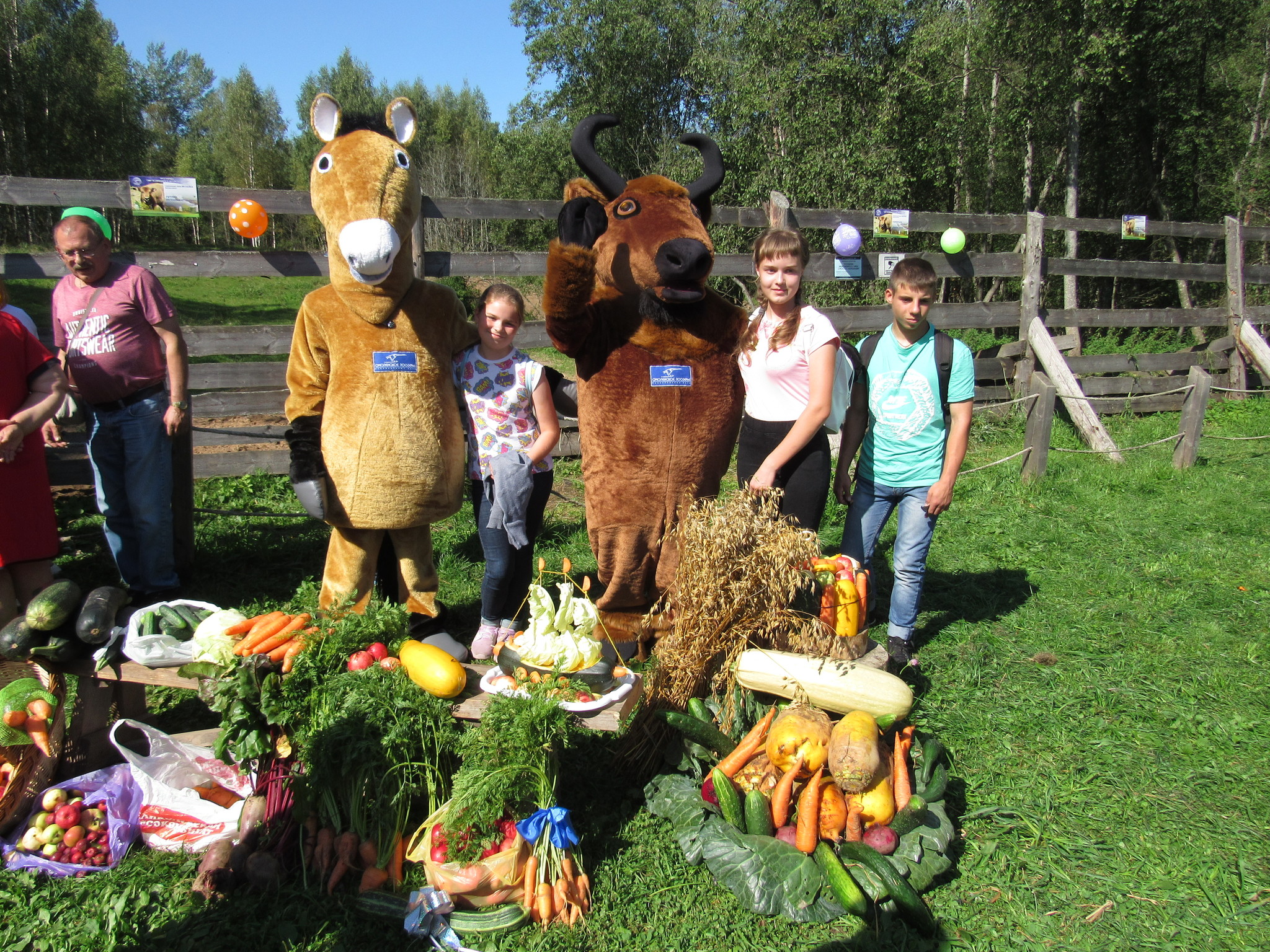 Who came to Yarik's birthday - Yaroslav, Bison, Animals, Holidays, Birthday, Longpost