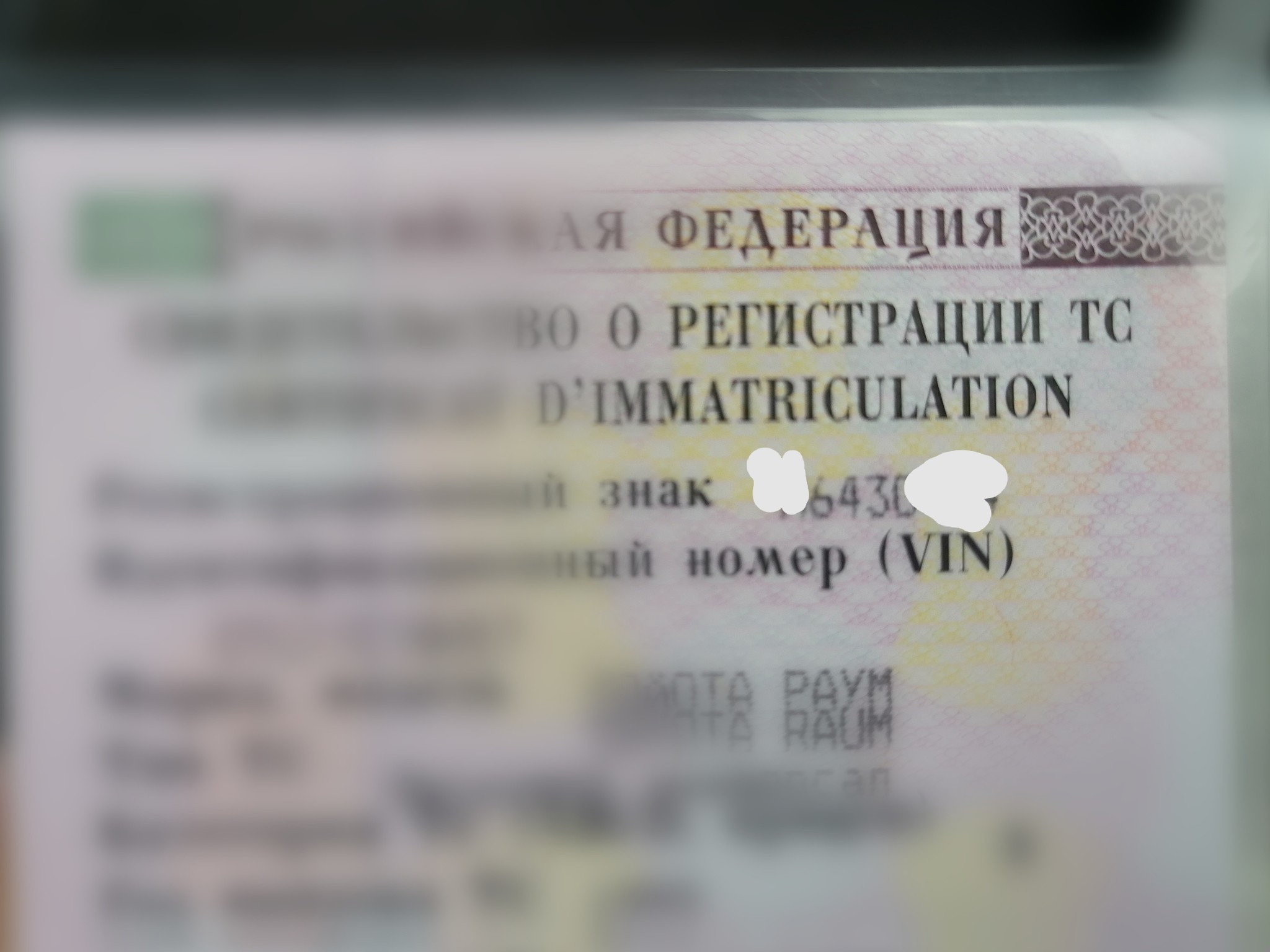 Гос номер - Моё, Регистрация авто, Автомобильные номера, Ошибка, Длиннопост