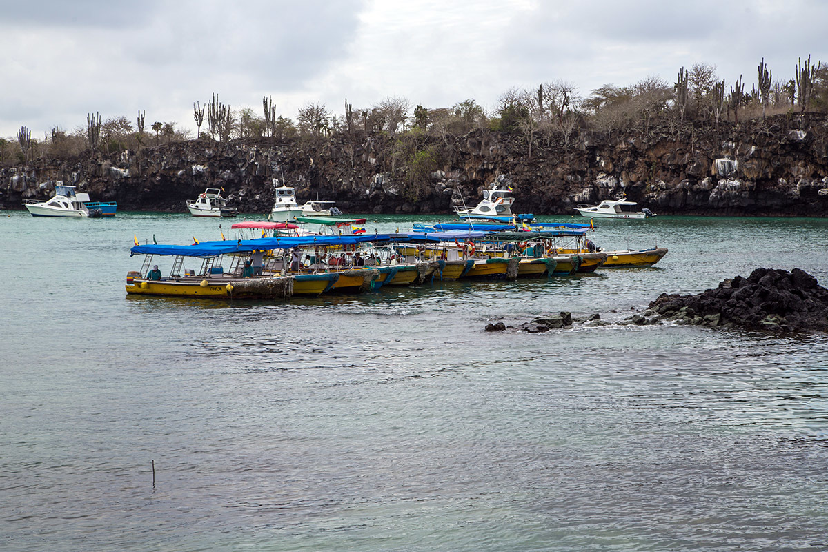 Galapagos. - My, Galapagos Islands, Ecuador, Sea, Travels, Longpost