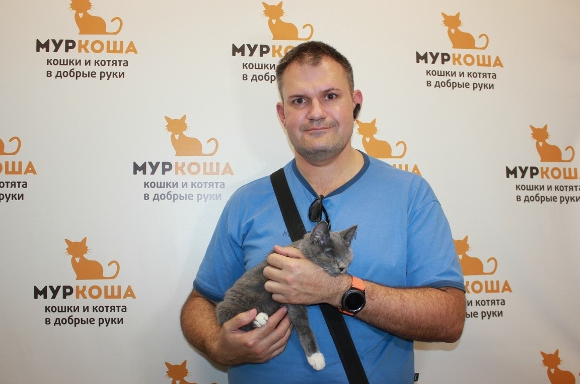 Blind baby Harrison met a superhost! - My, Murkosh shelter, cat, Help, In good hands, Moscow, Longpost, No rating, Helping animals