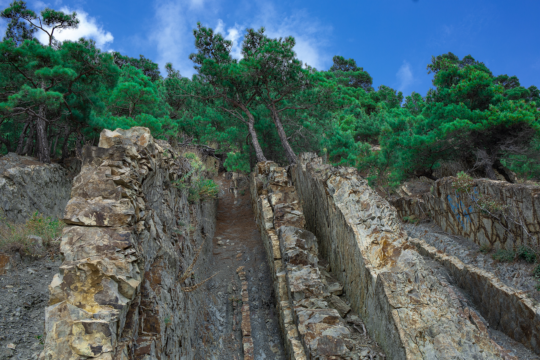 From a trip to Gelendzhik (who doesn’t like the colors in the photo, etc. - everything is in the garden !!))) - My, Sea, Black Sea, Rock Sail, Gelendzhik, Longpost