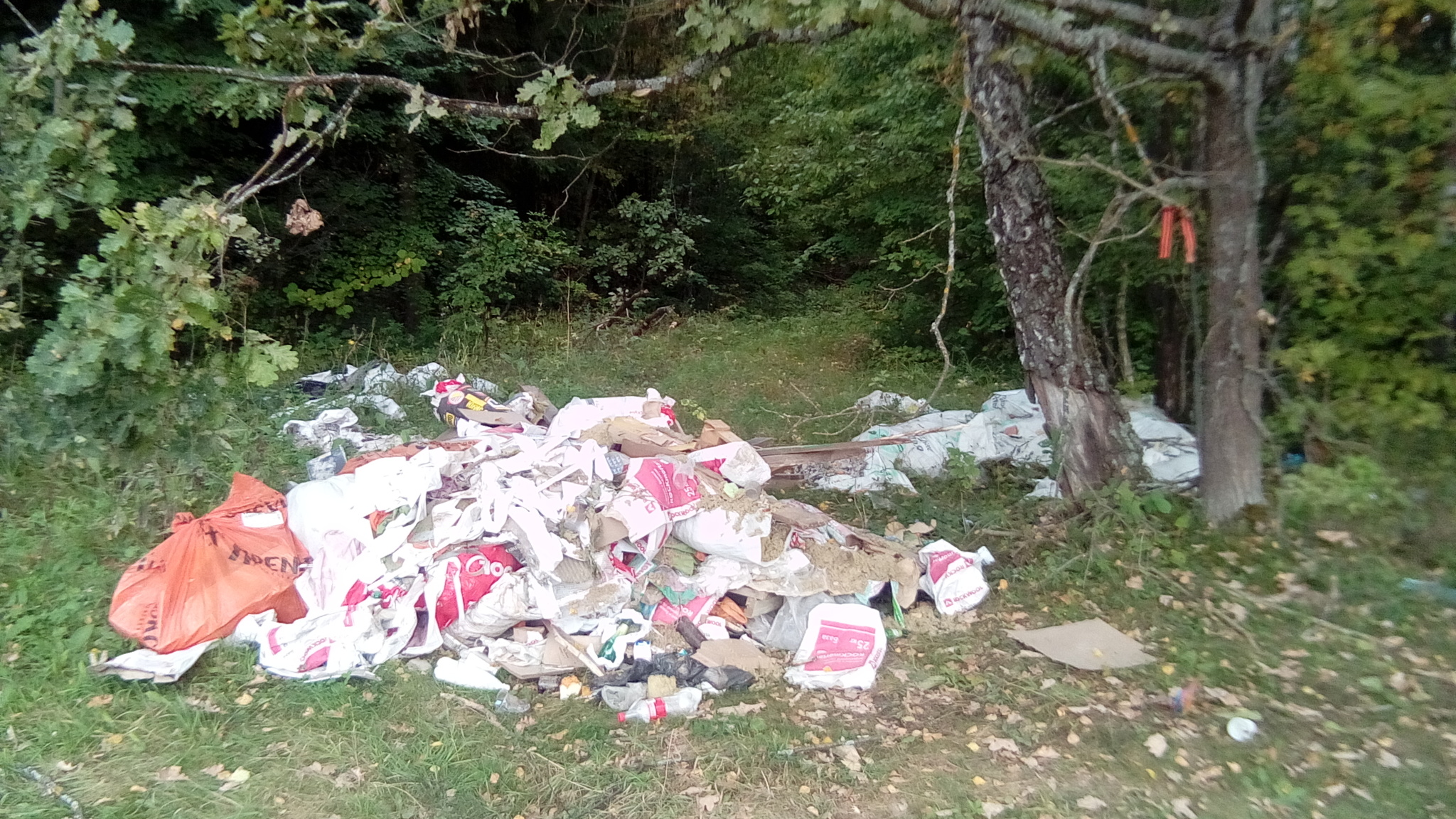 How long..? - My, Garbage, Ecology, Disgusting, Nature