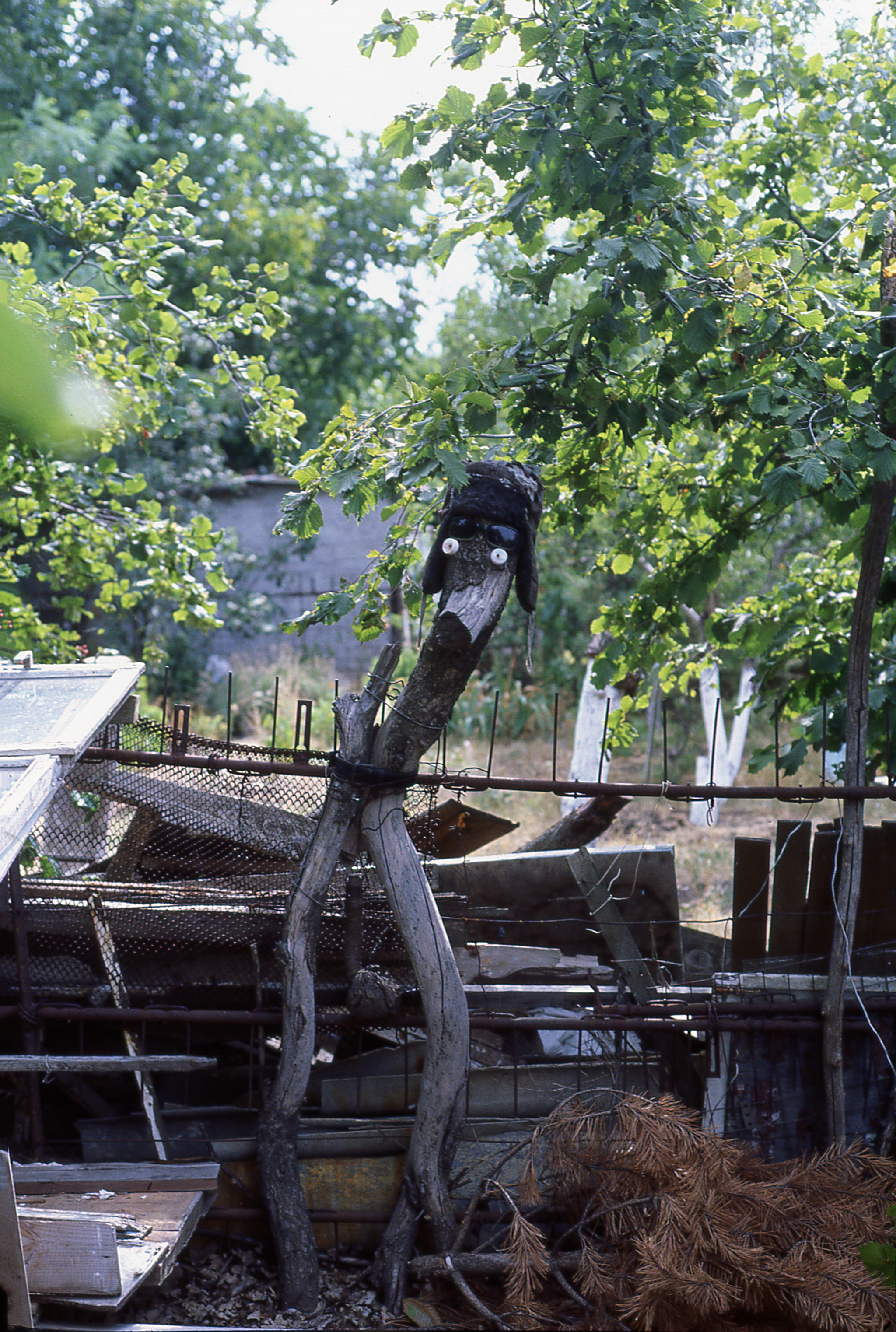 Немного свежего Ektachrome - Моё, Фотография, Пленка, Ektachrome, Kodak, Длиннопост