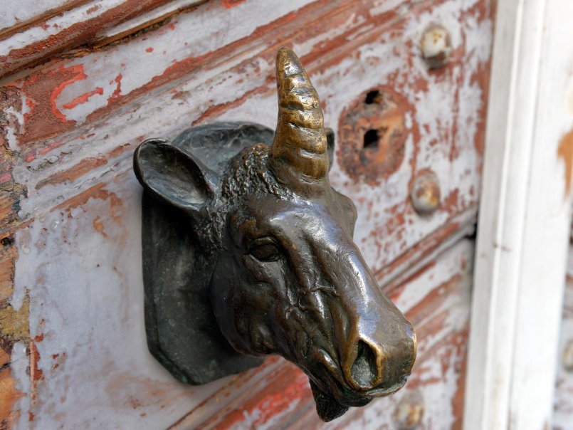 passion for unicorns - My, Germany, Unicorn, The street, Theft, Name, Funny, Longpost, , Theft