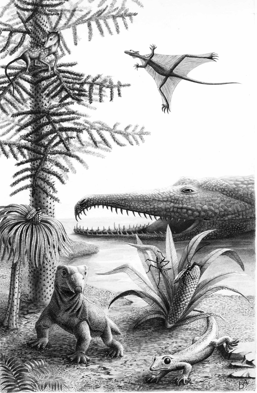 Illustrations for an unreleased book - My, Graphics, Drawing, Creation, Creative, Illustrations, Botany, Animals, Longpost, Paleoart