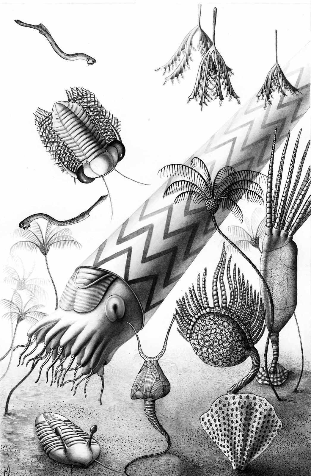 Illustrations for an unreleased book - My, Graphics, Drawing, Creation, Creative, Illustrations, Botany, Animals, Longpost, Paleoart