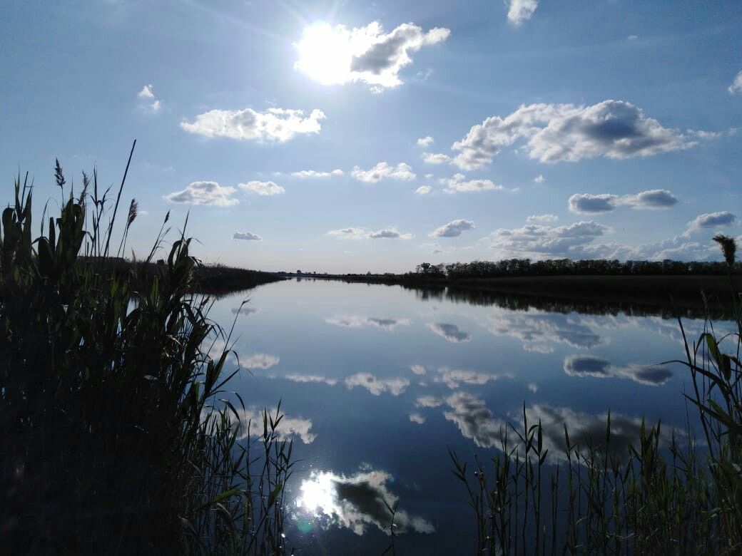 Rivers of Kuban - My, River, beauty of nature, Longpost