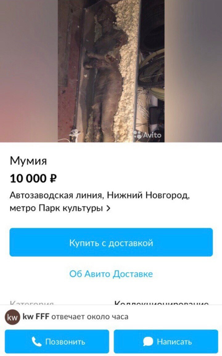 Продам - Авито, Мумия, Нижний Новгород, Длиннопост, Автозаводский район