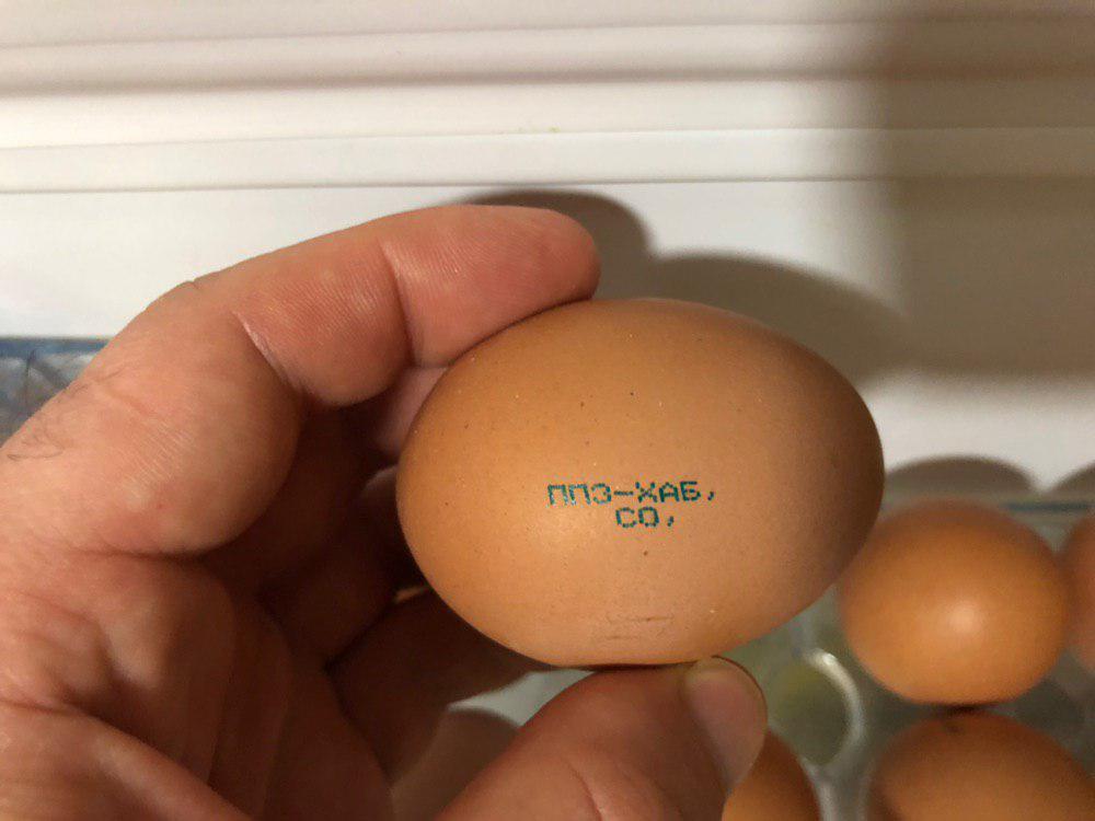 Convenient eggs. In Khabarovsk, they began to produce chicken eggs of category C0, which are placed in the cells of the refrigerator. Is this not happiness? - My, Eggs, Khabarovsk, Convenience, Russian production, Hen