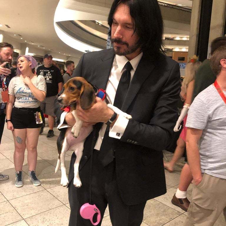 Fit cosplay - Cosplay, John Wick, Dog, The photo