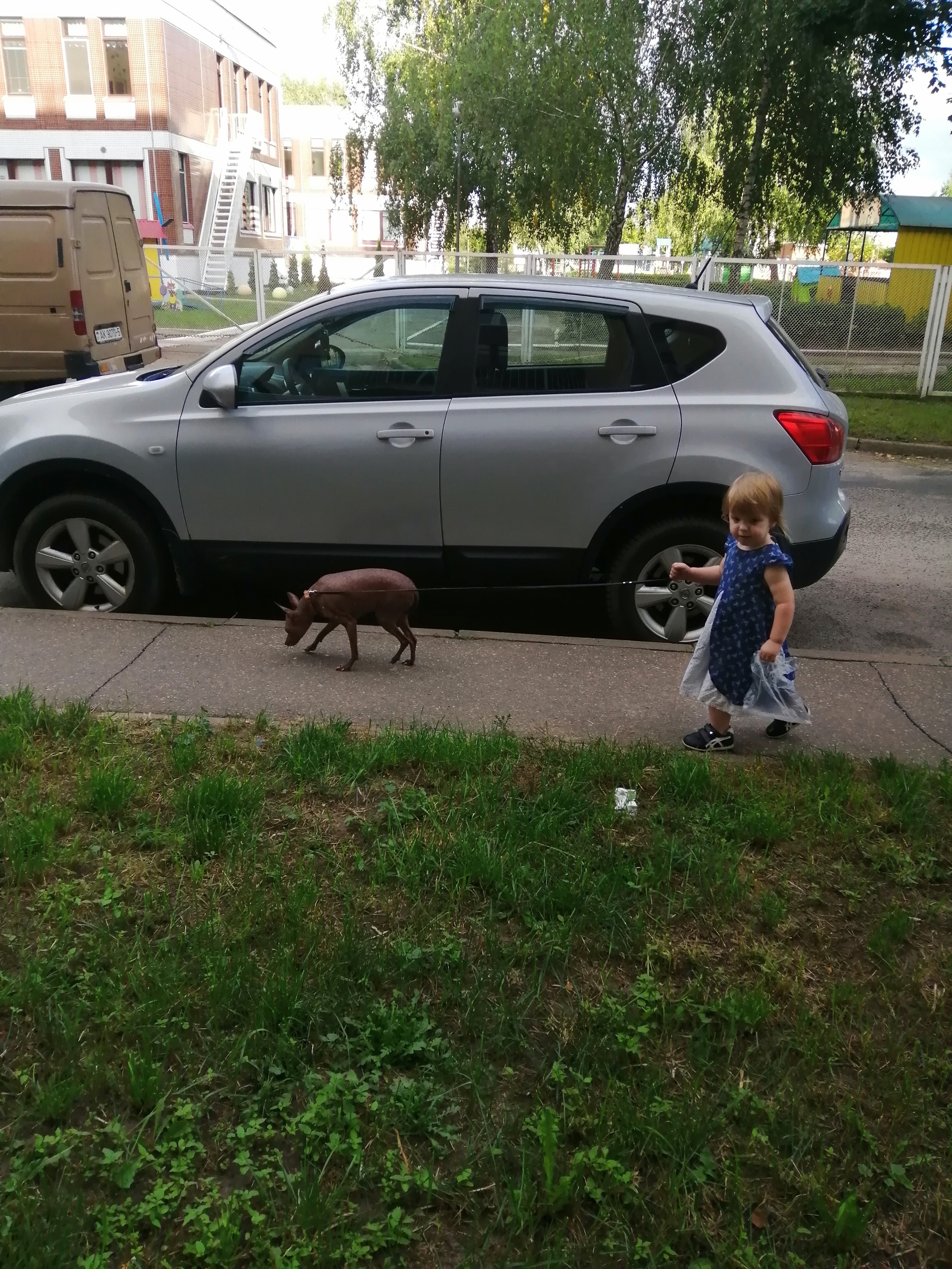 Raising the next generation of dog lovers - Dog lovers, Xoloitzcuintli, , Children, Longpost