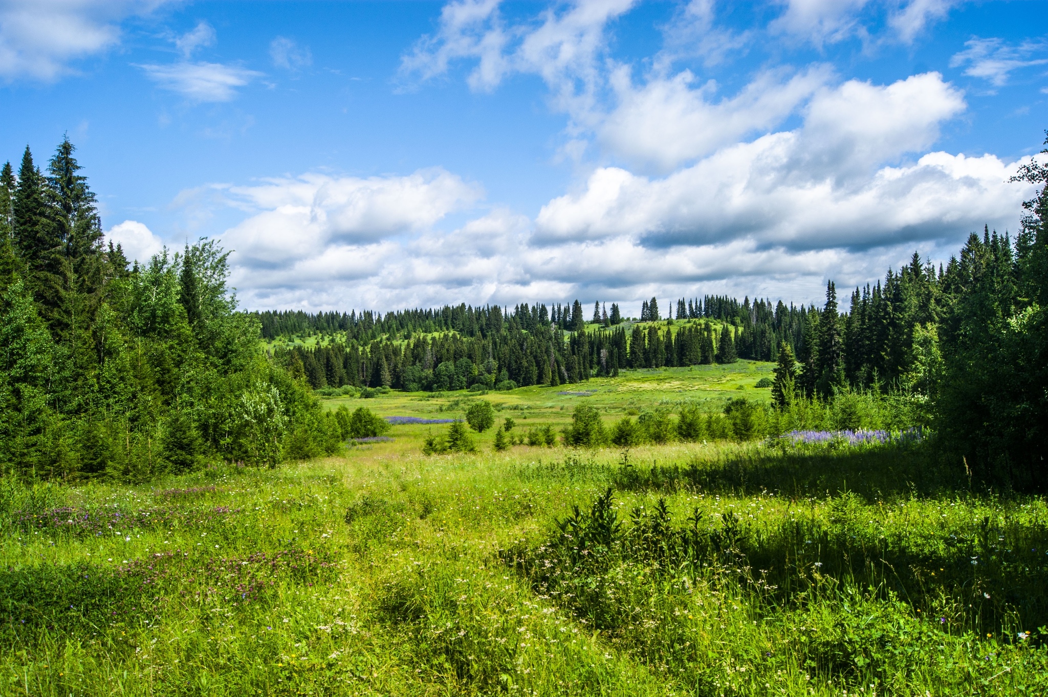 Пермский край картинки