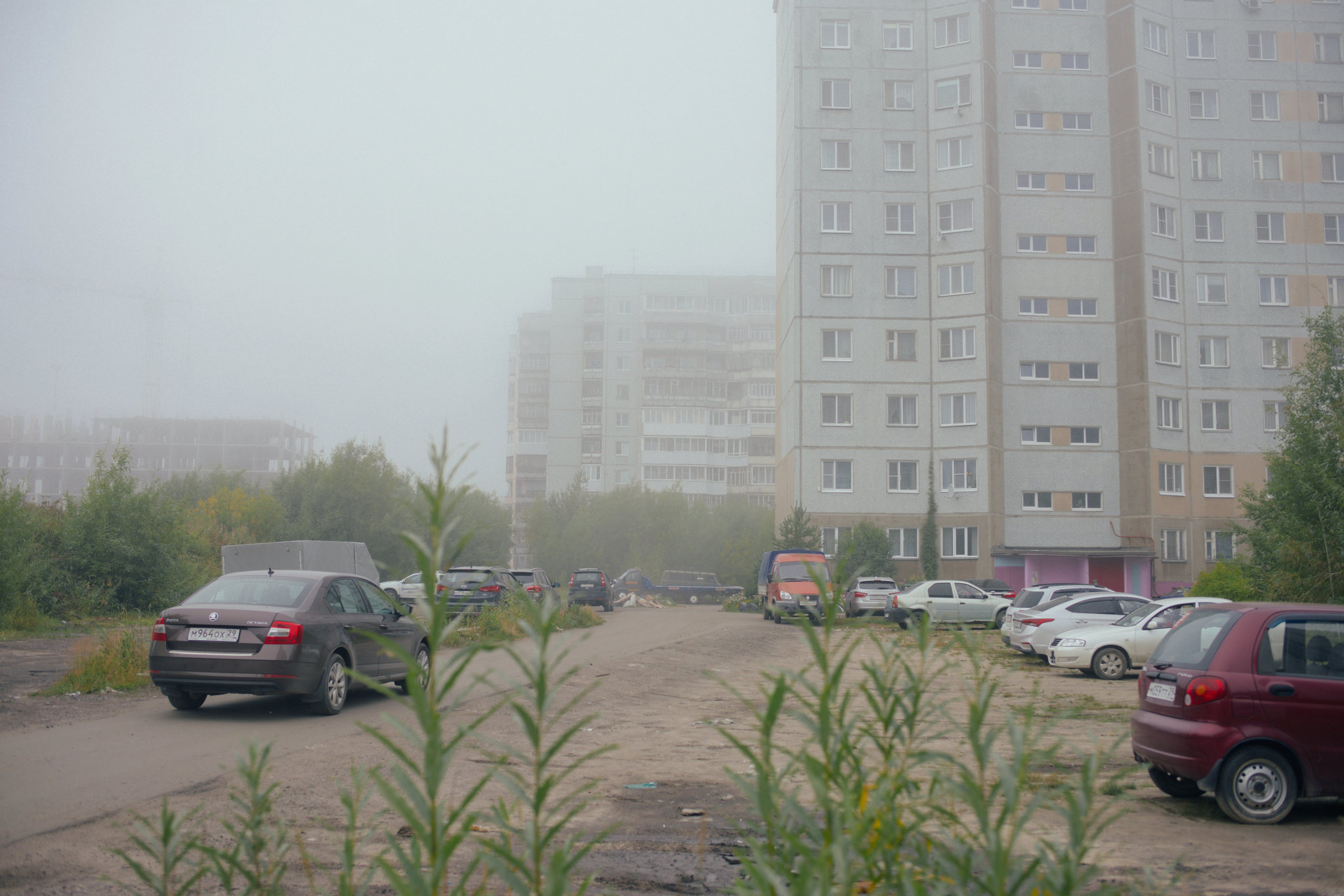 Knowledge Day... - My, Arkhangelsk, Fog, Silent, Silent Hill, The photo, Nine-storey building, , Longpost