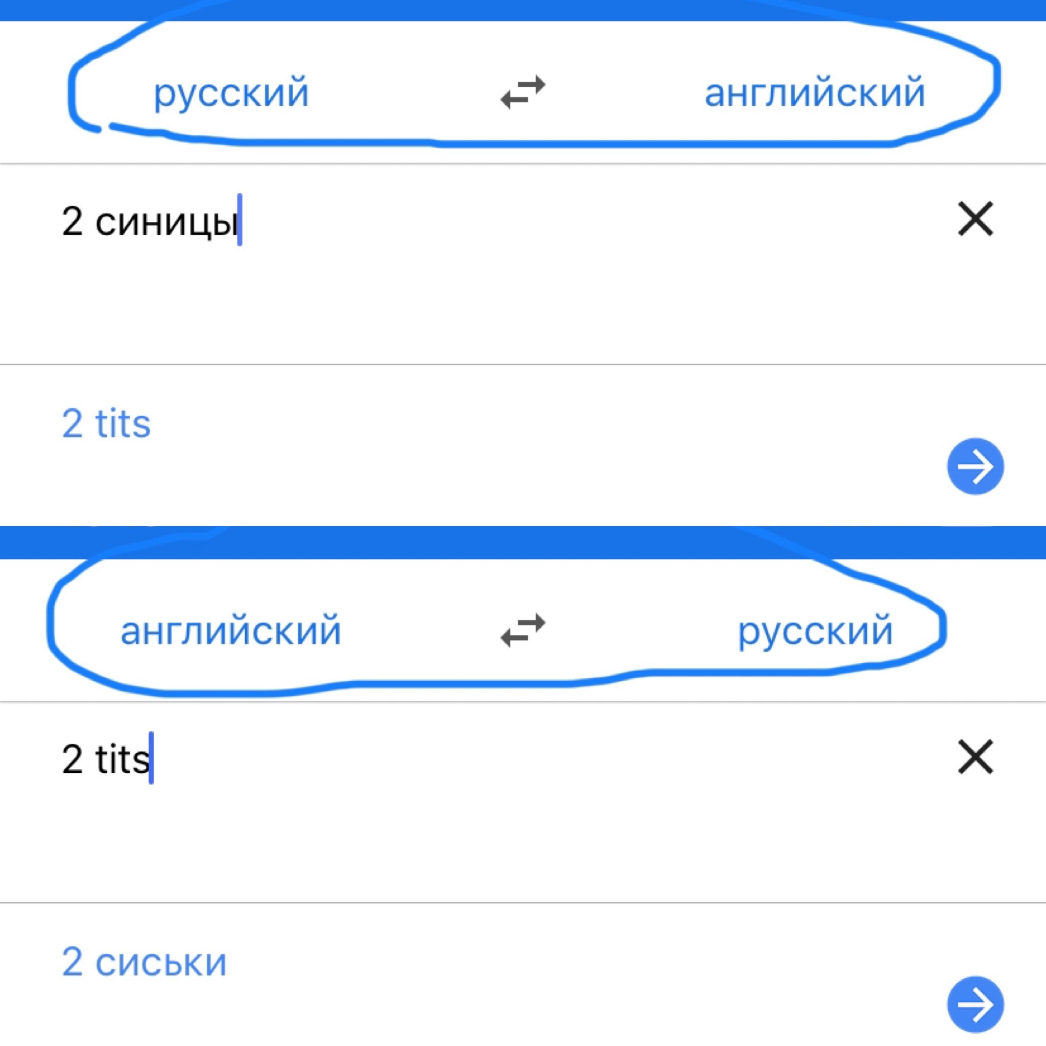 Шикарный язык) - Моё, Синица, Перевод, Сиськи, Google