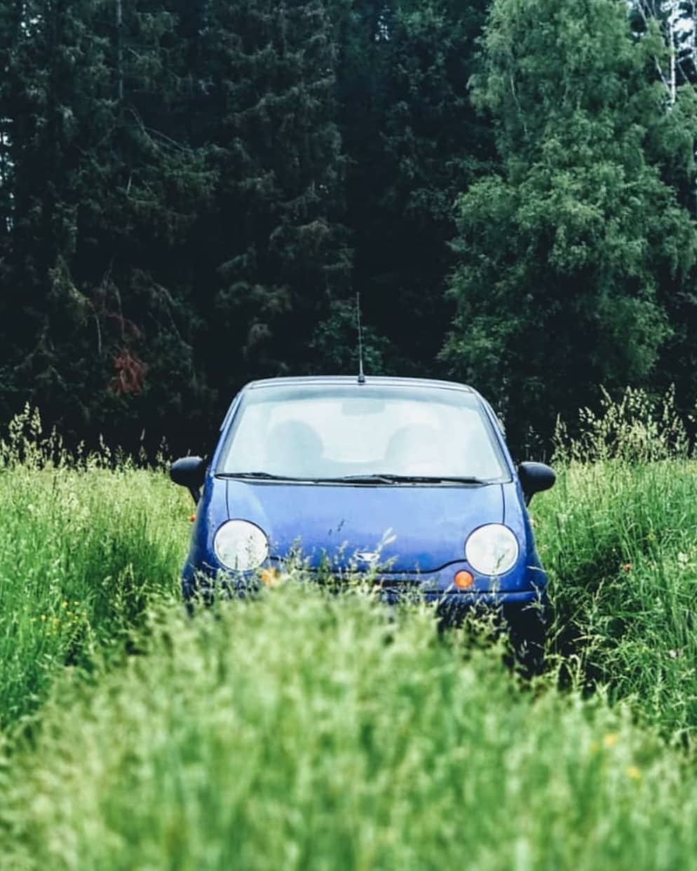 Best friend has an anniversary - 100,000 km - My, My first car, Daewoo matiz, Longpost