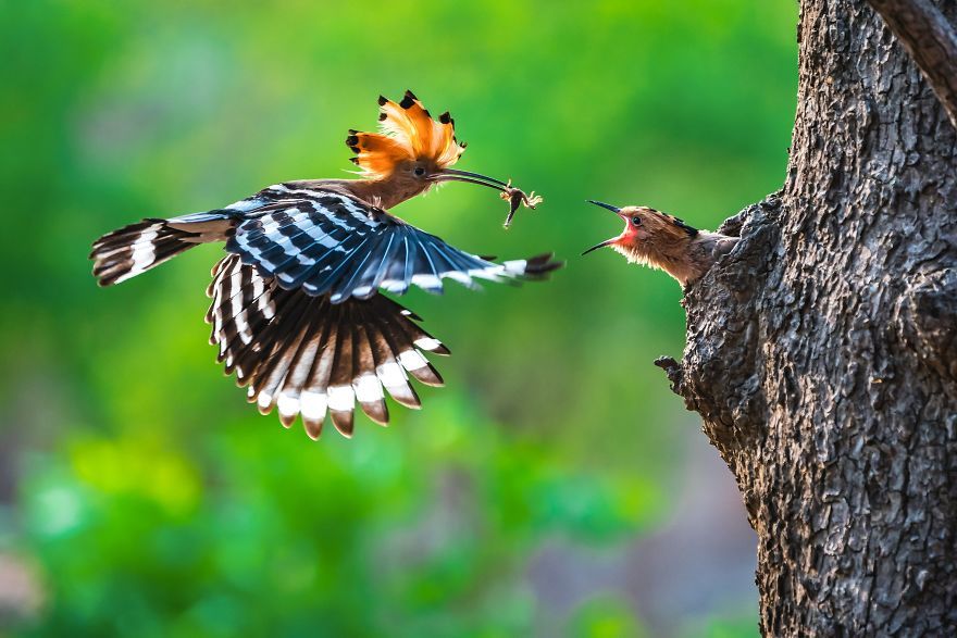 Nature and people. #AGORAawards2019 Winners - Nature, The photo, Longpost