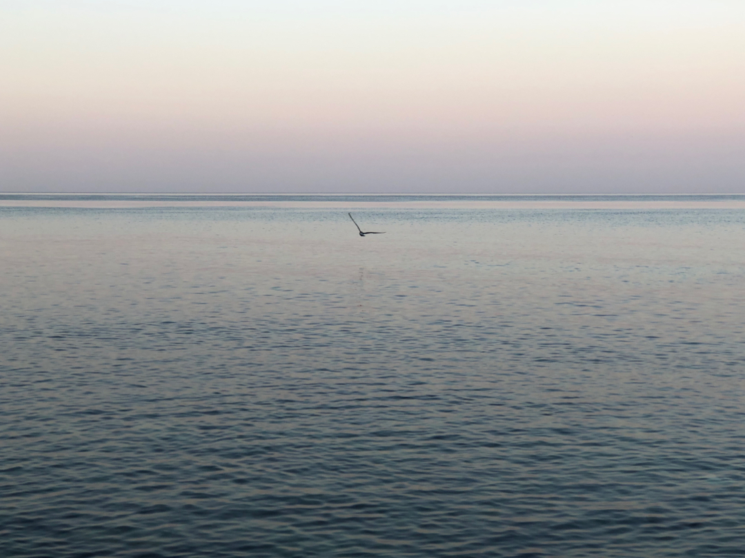 Fiolent - My, Sea, Black Sea, Crimea, Cape Fiolent, Vacation, The photo, Longpost