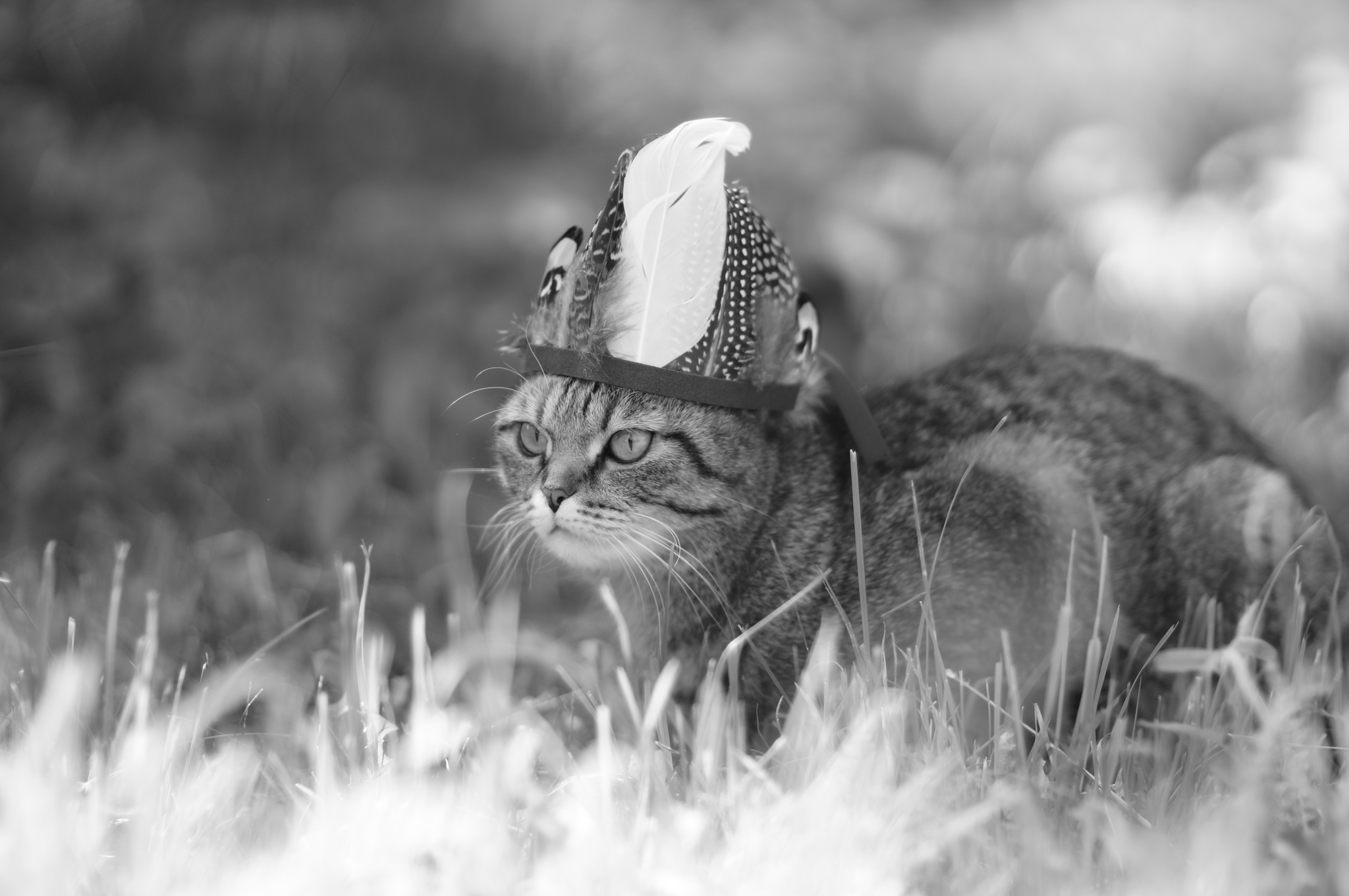 Немного фотографий. | Пикабу
