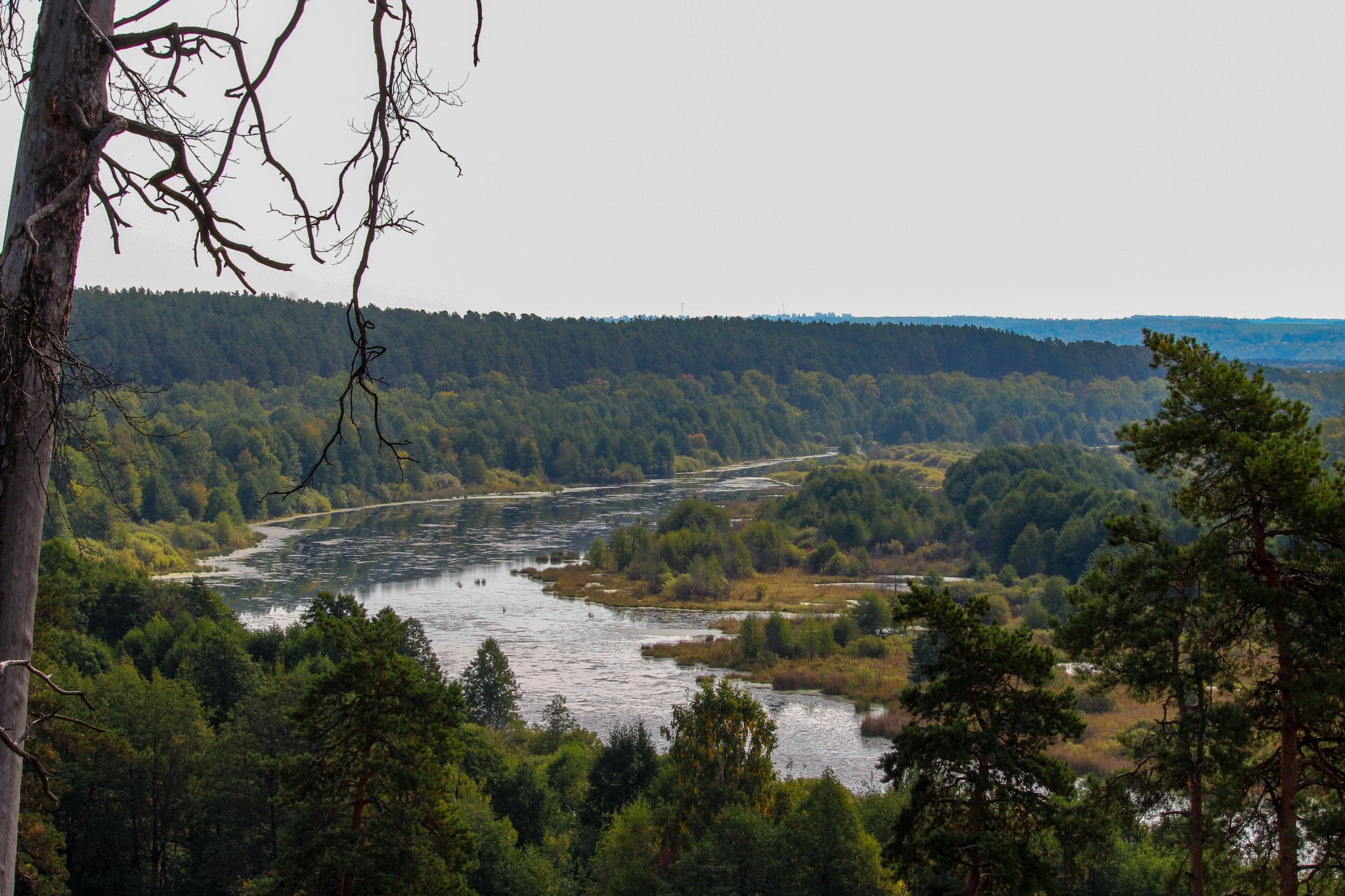 September sketches - My, Dzerzhinsk, Reshetiha, Nature, Mobile photography, The photo, Longpost, Video, A bike